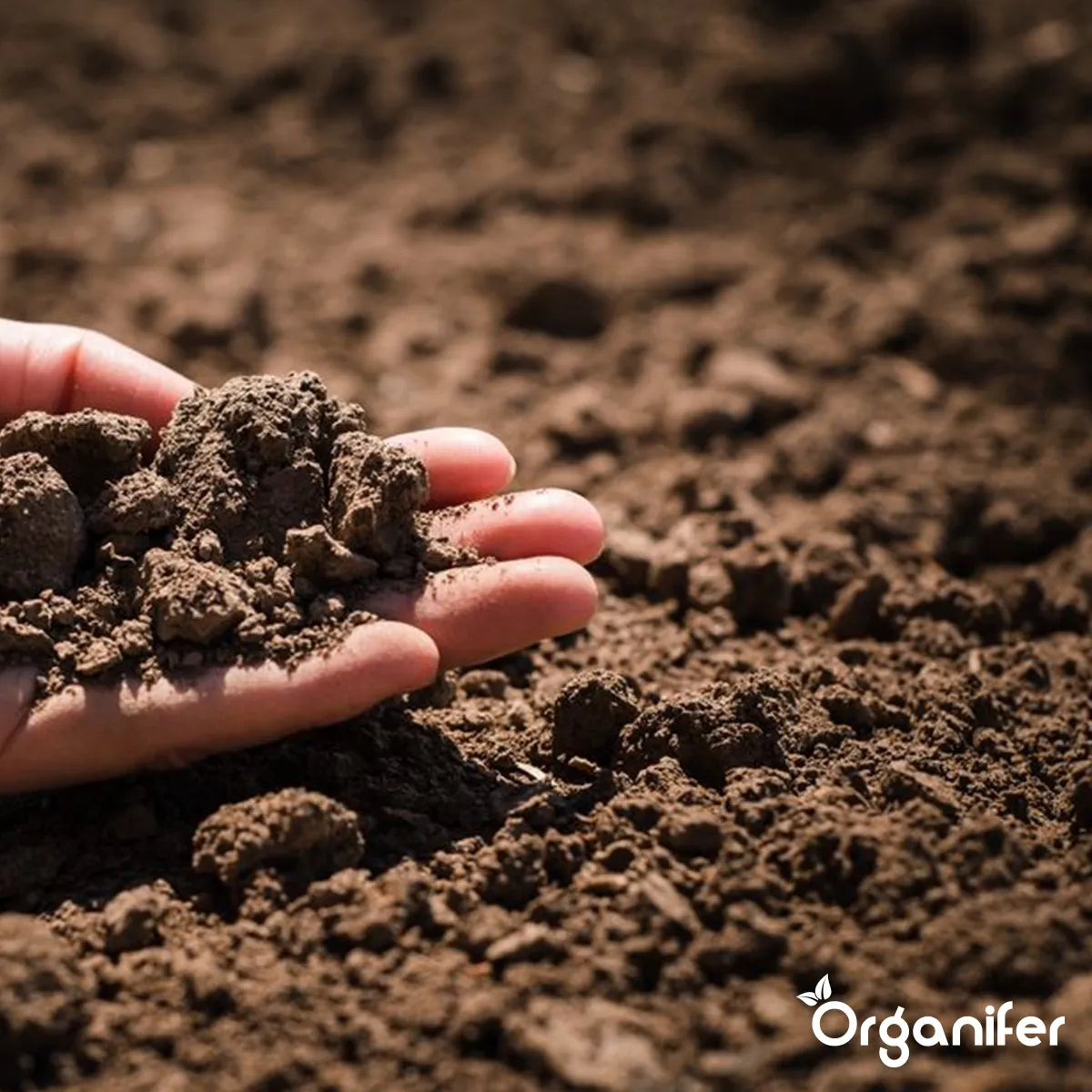 The optimal soil