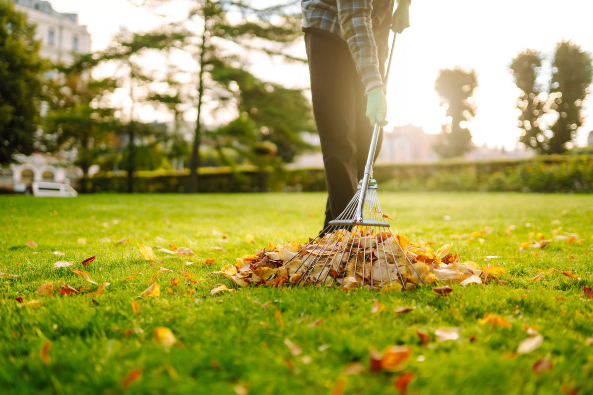 When Should You Feed Your Lawn for Winter?