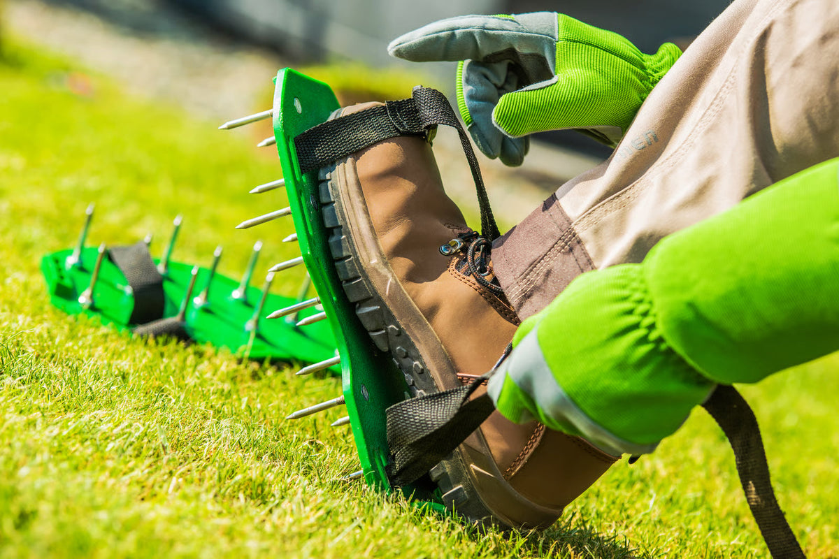 When Should You Aerate Your Lawn?