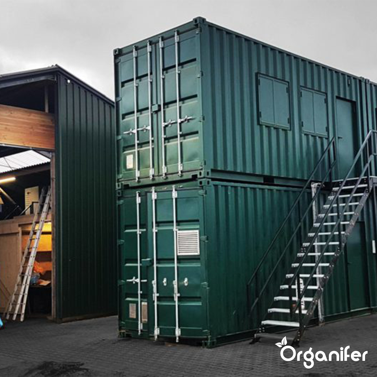 Mestkorrel productie