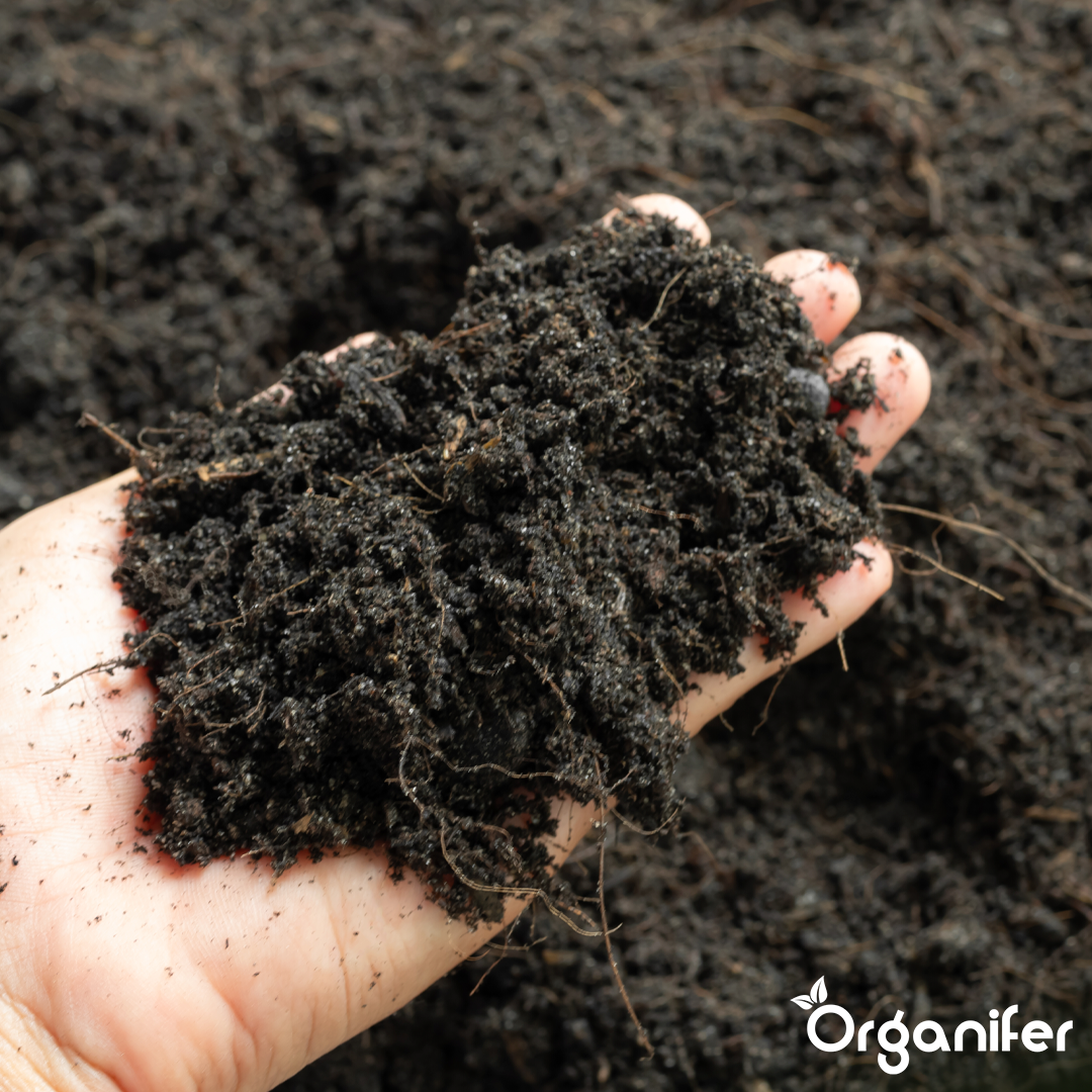 Compost Accelerator 10