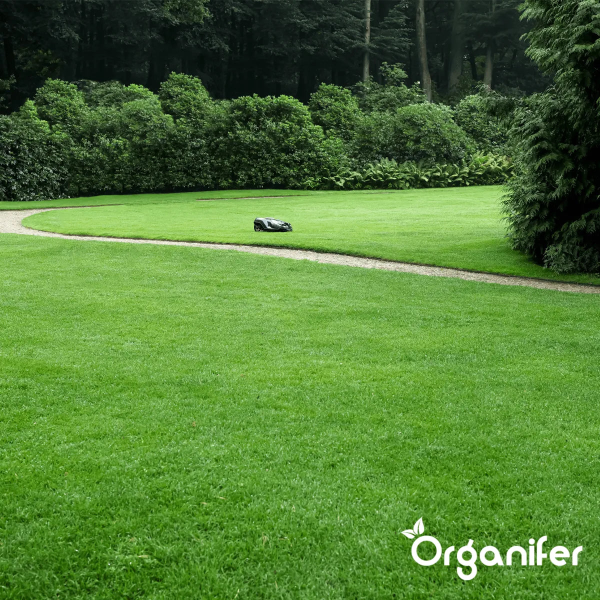 Iron Sulphate Fertiliser