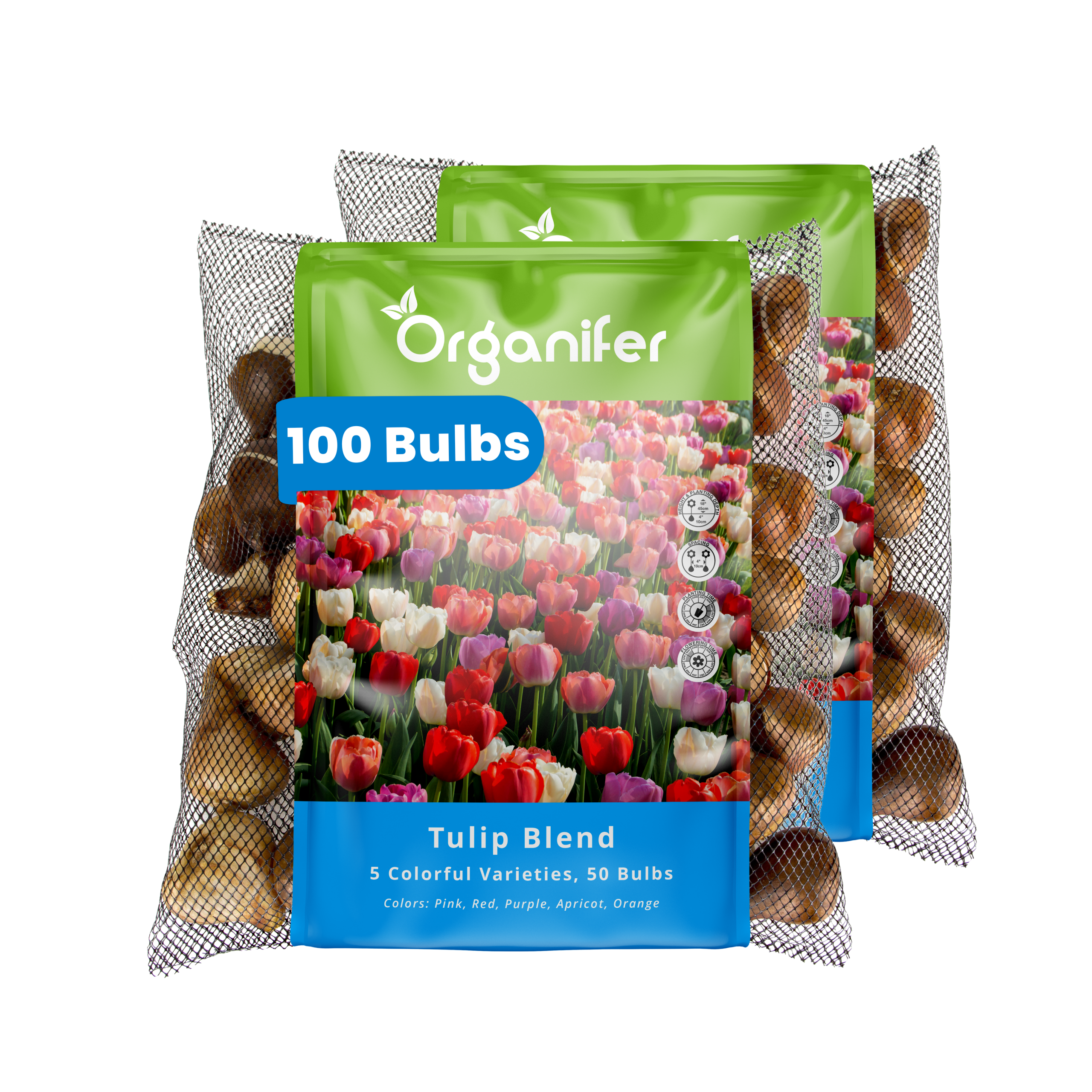 100 Tulip Bulbs – 5 Colorful Varieties