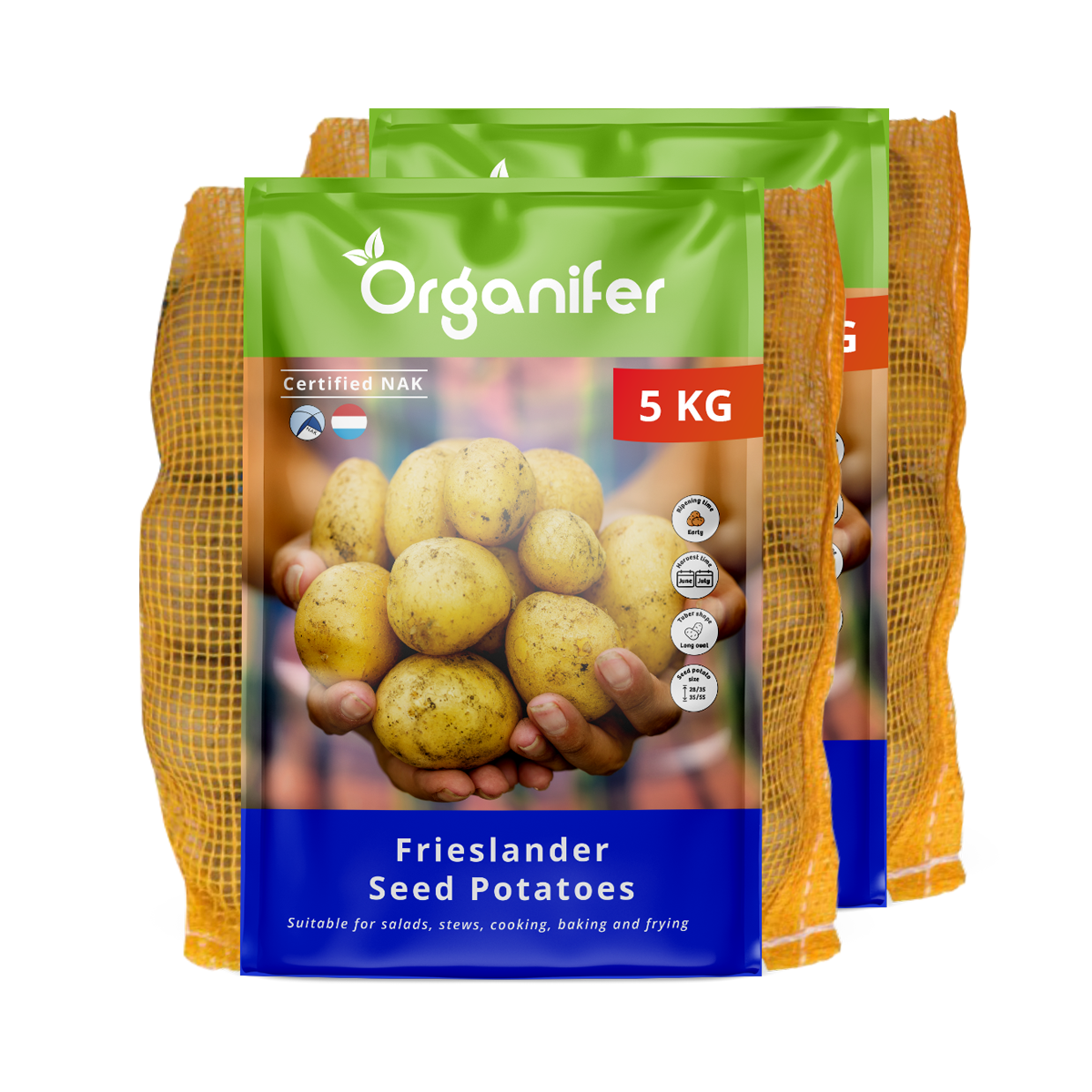 8719958992320 Pootaardappelen Frieslander A 28:35 (10 kg)