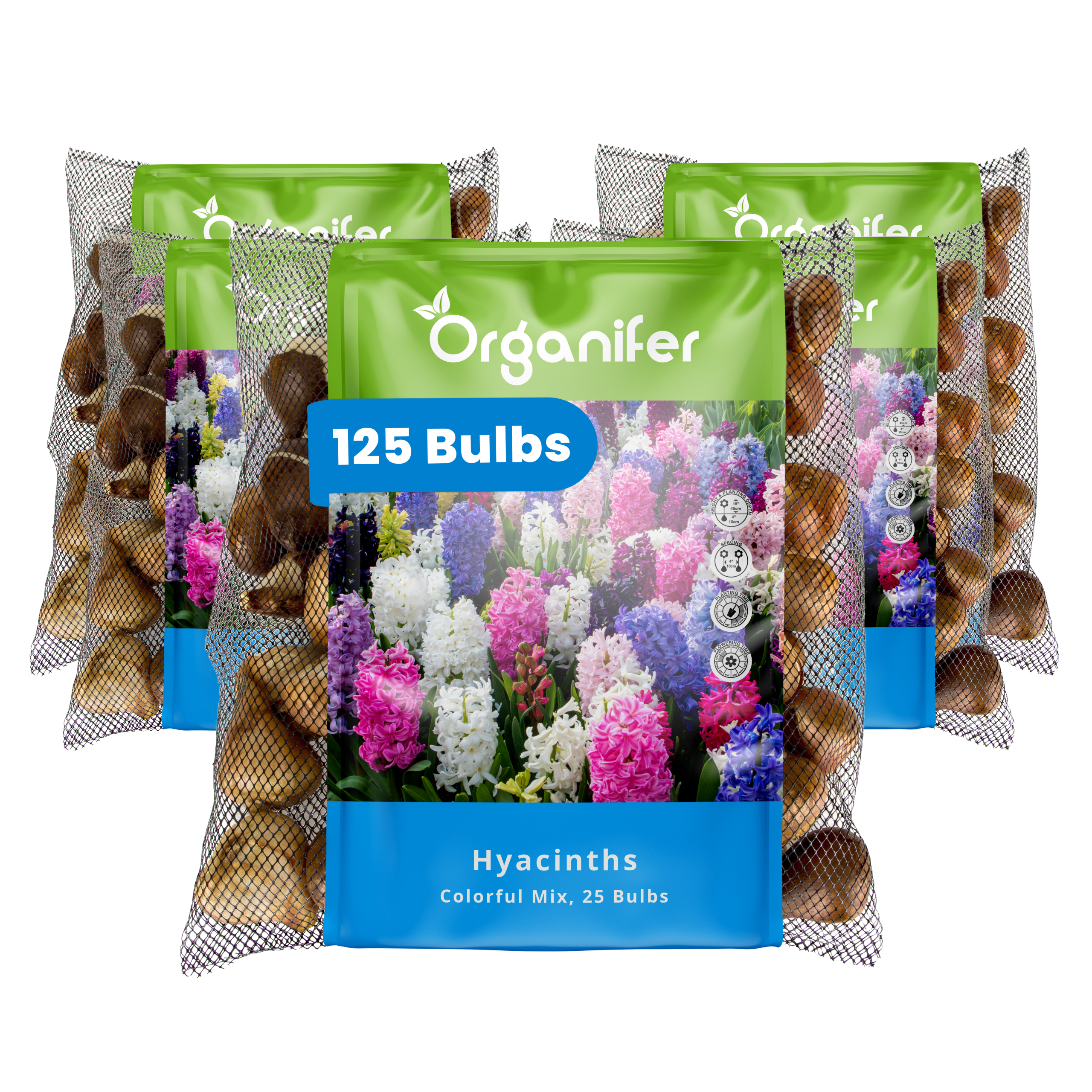 125 Hyacinth Bulbs – Colourful Mix