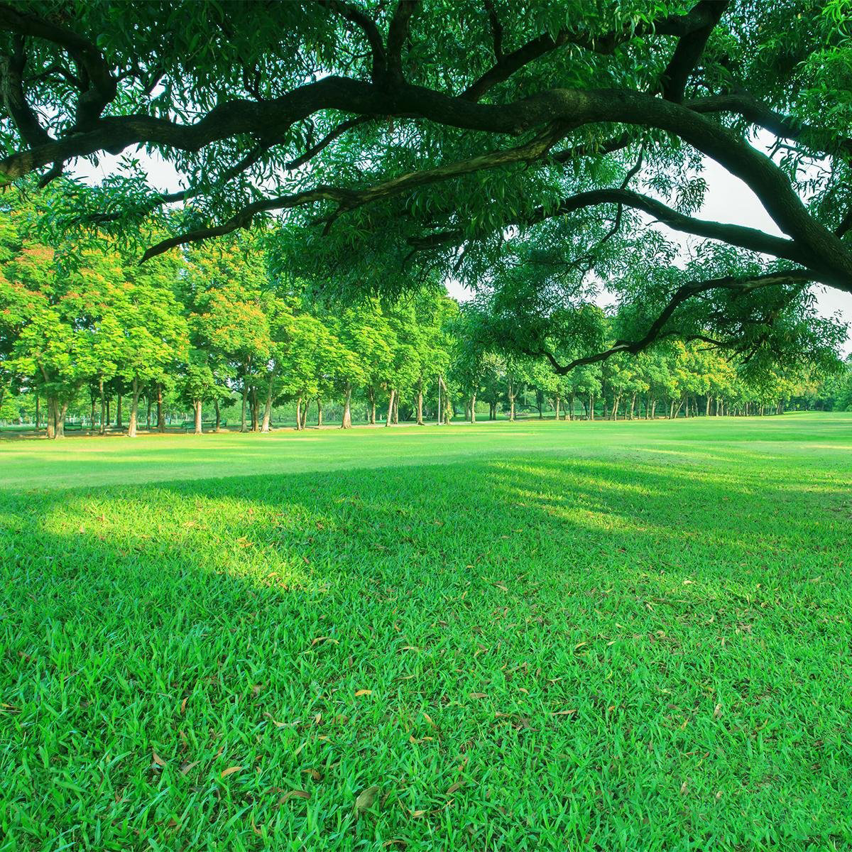 Verrijkt met magnesium