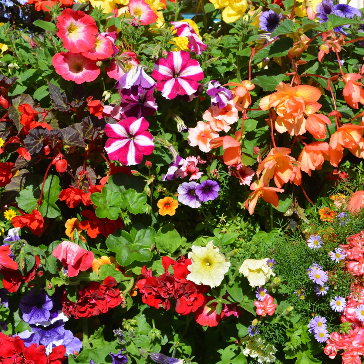 Long-Lasting, Low Maintenance Display