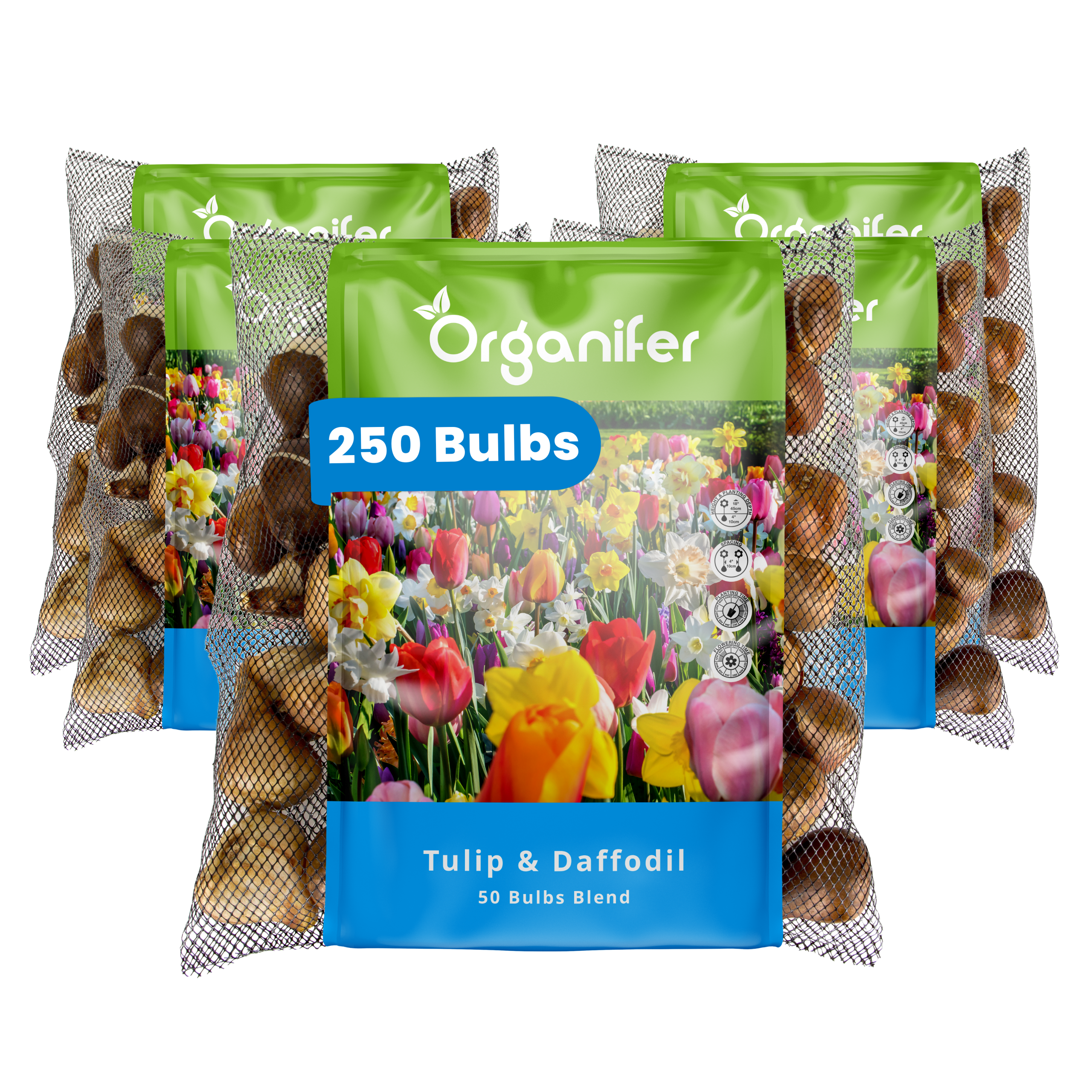 250 Tulip and Daffodil Bulbs Mix