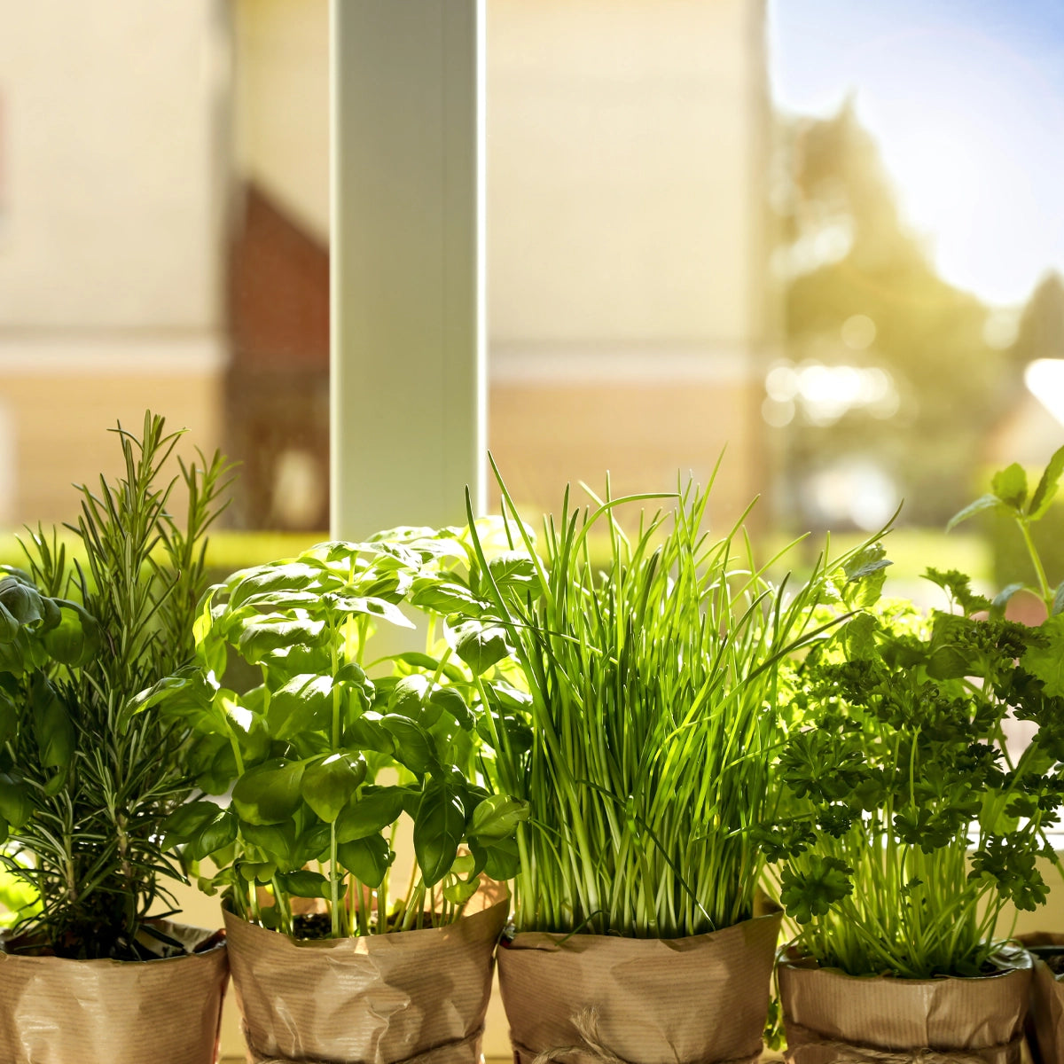 Suitable for Every Gardener