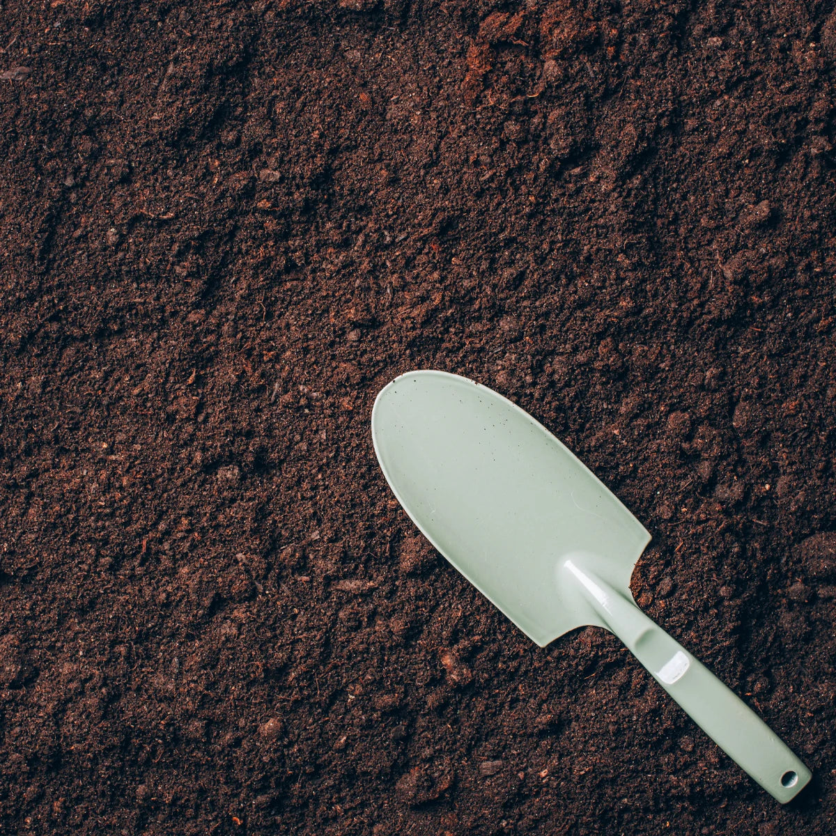 Powerful Soil Structure Improvement with Biochar