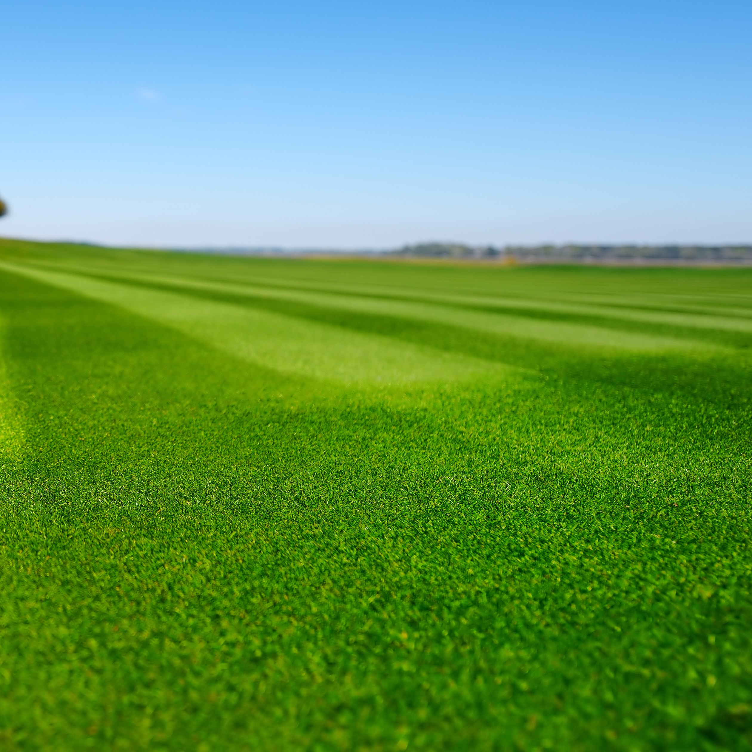 Gekorrelde vorm voor nauwkeurige toepassing
