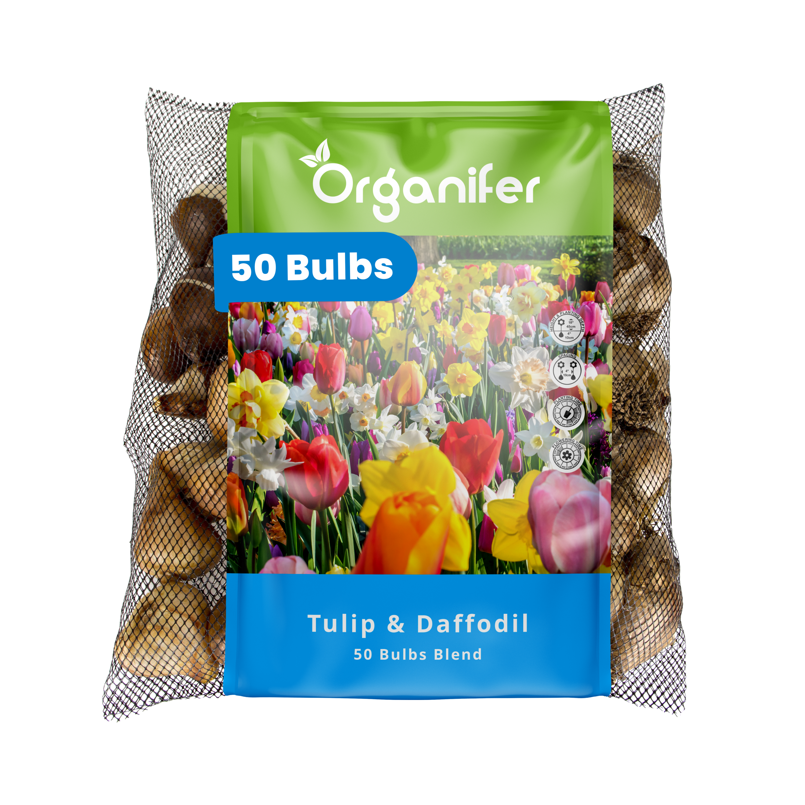 50 Tulip and Daffodil Bulbs Mix