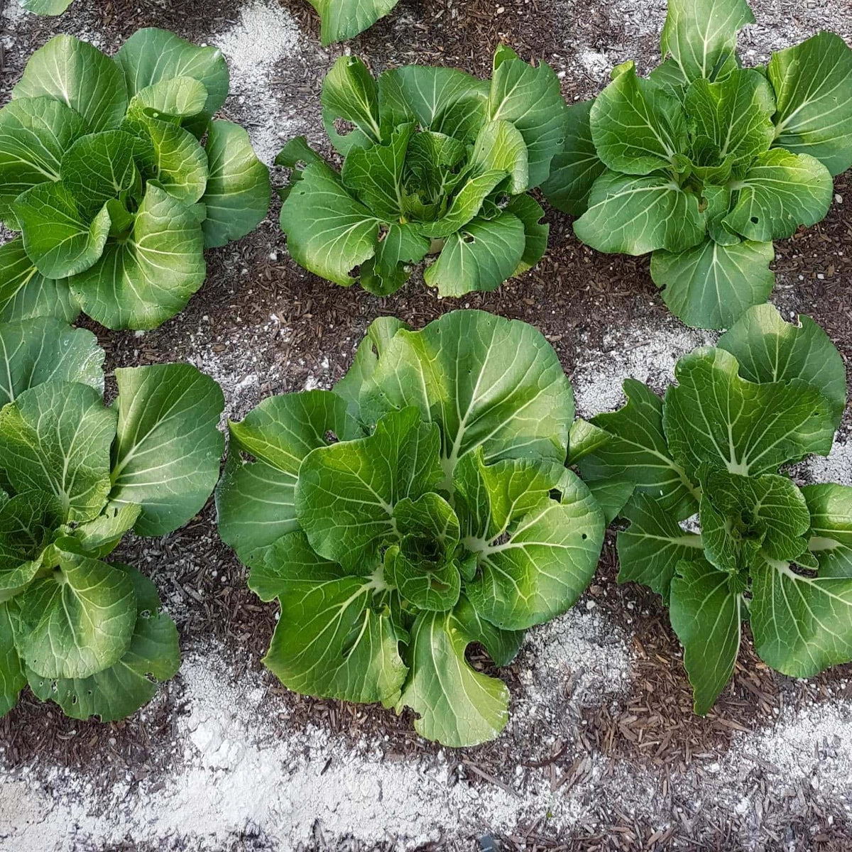 Długotrwałe działanie mechaniczne