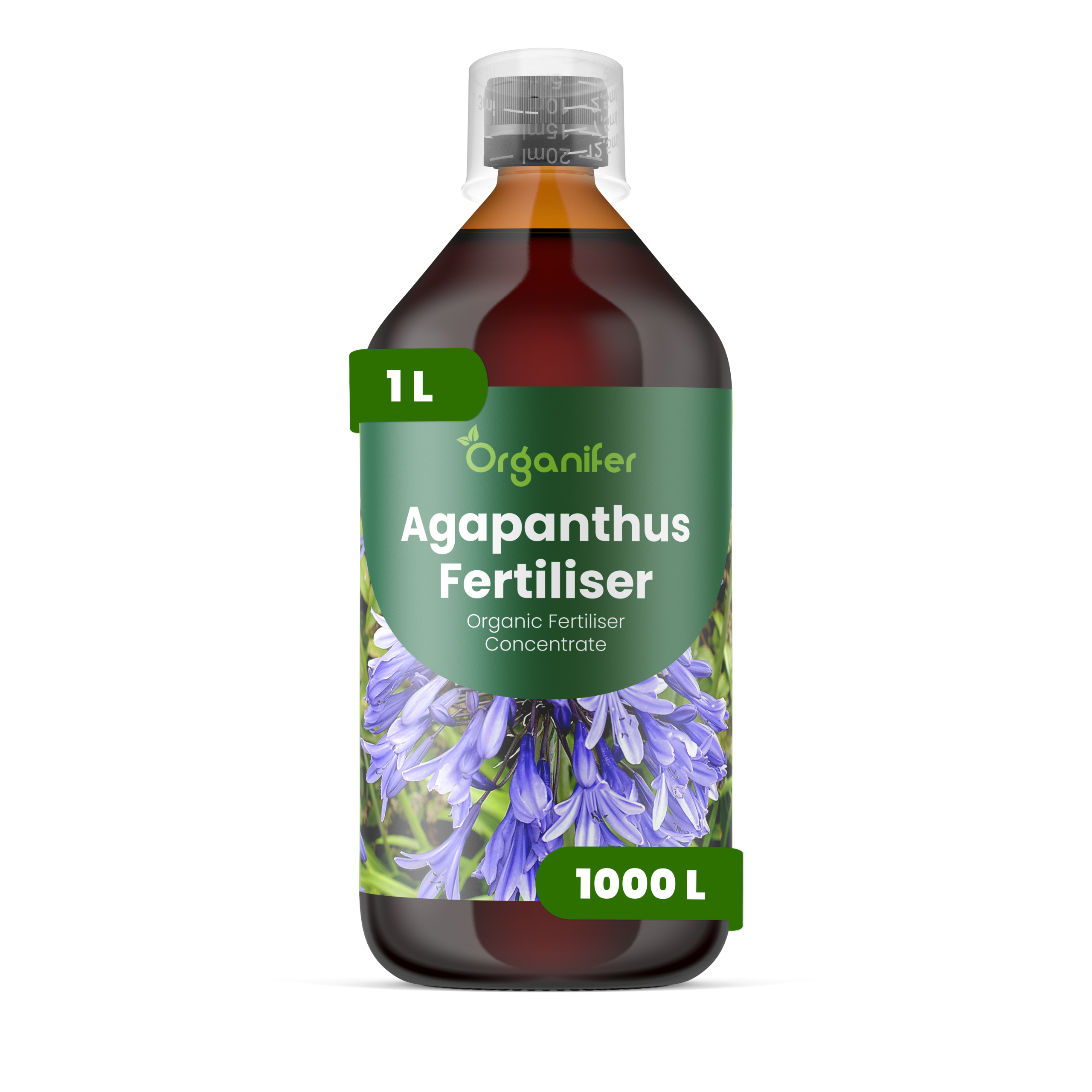 Agapanthus 1L labels