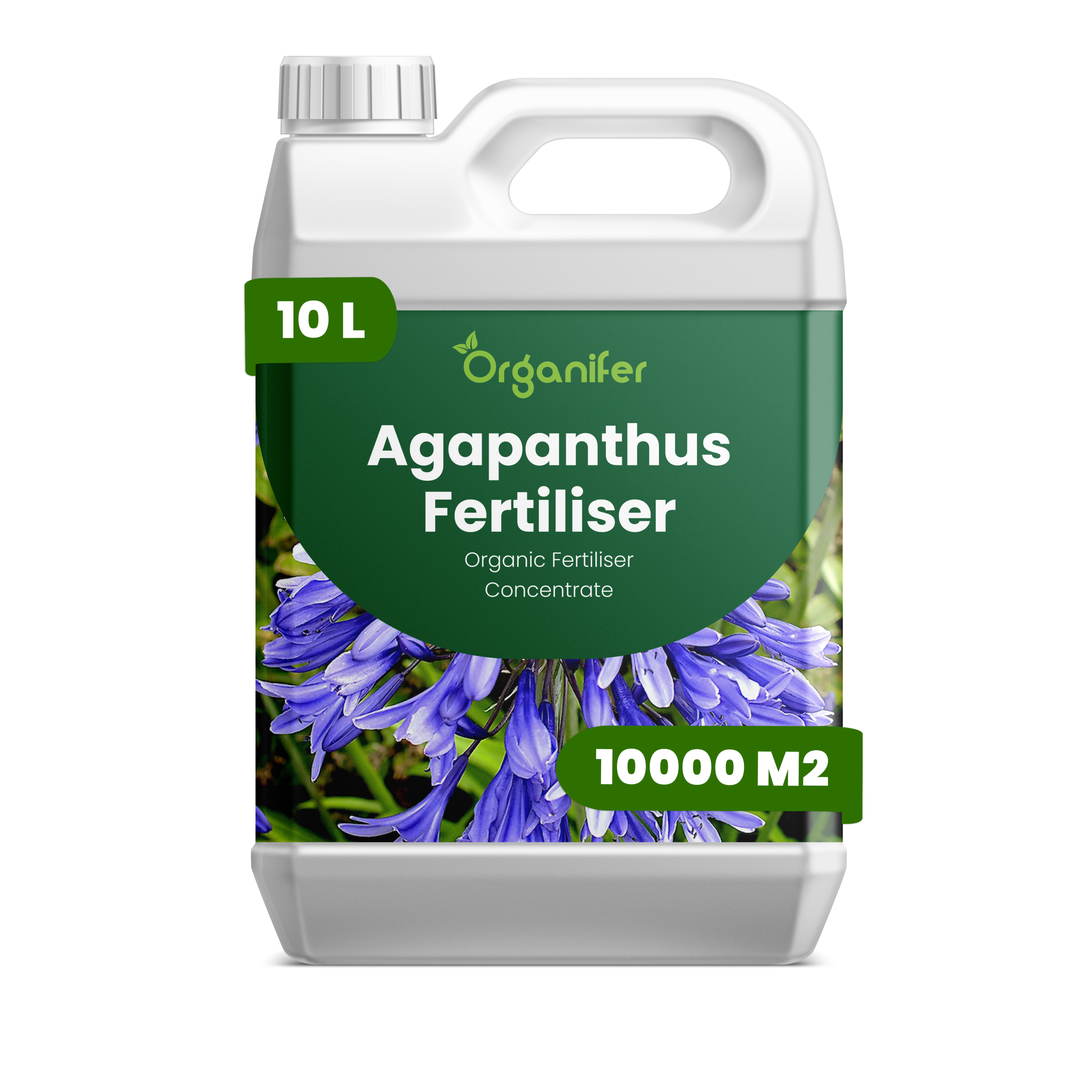 Agapanthus 10L labels