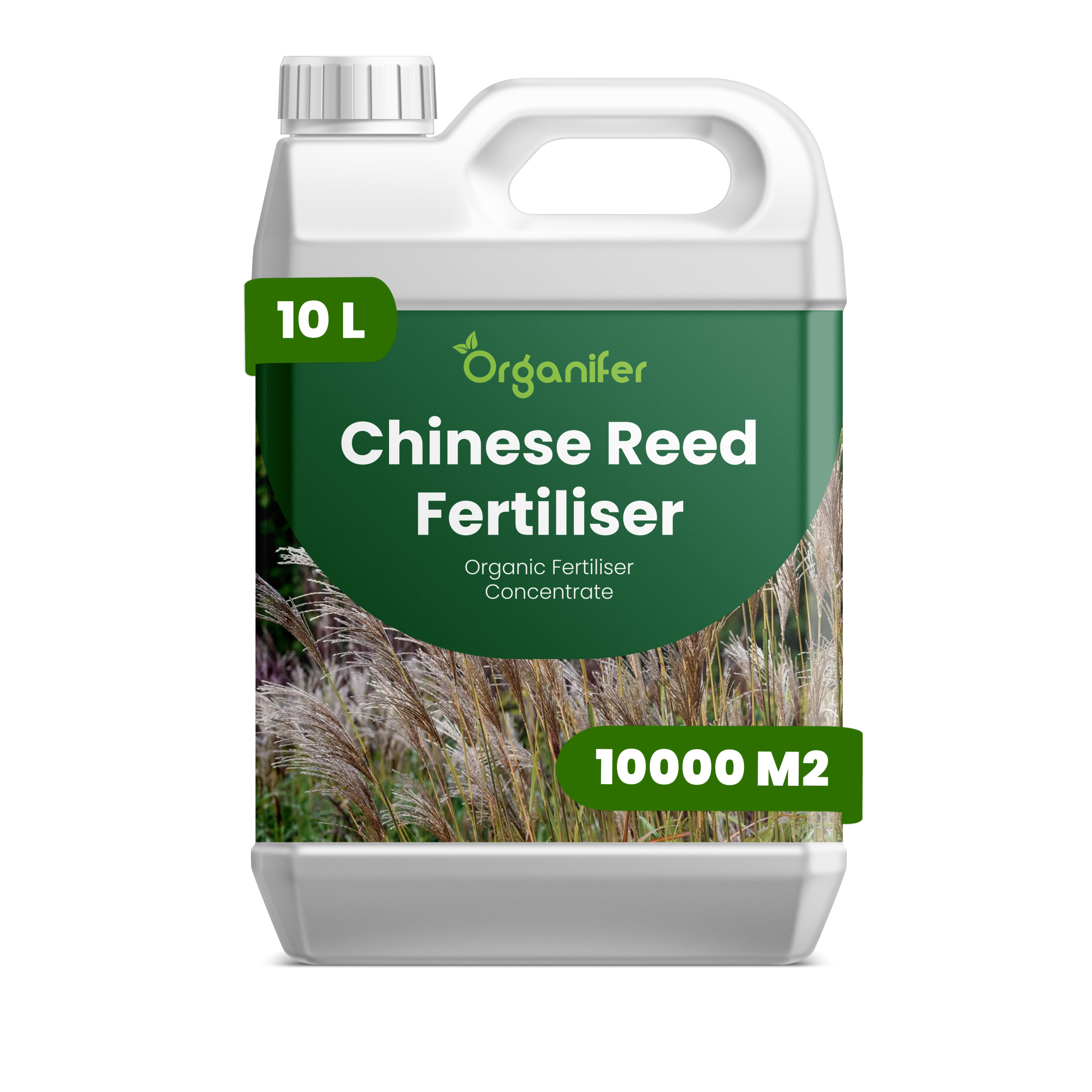 8719958000742 10L Chinese Reed labels