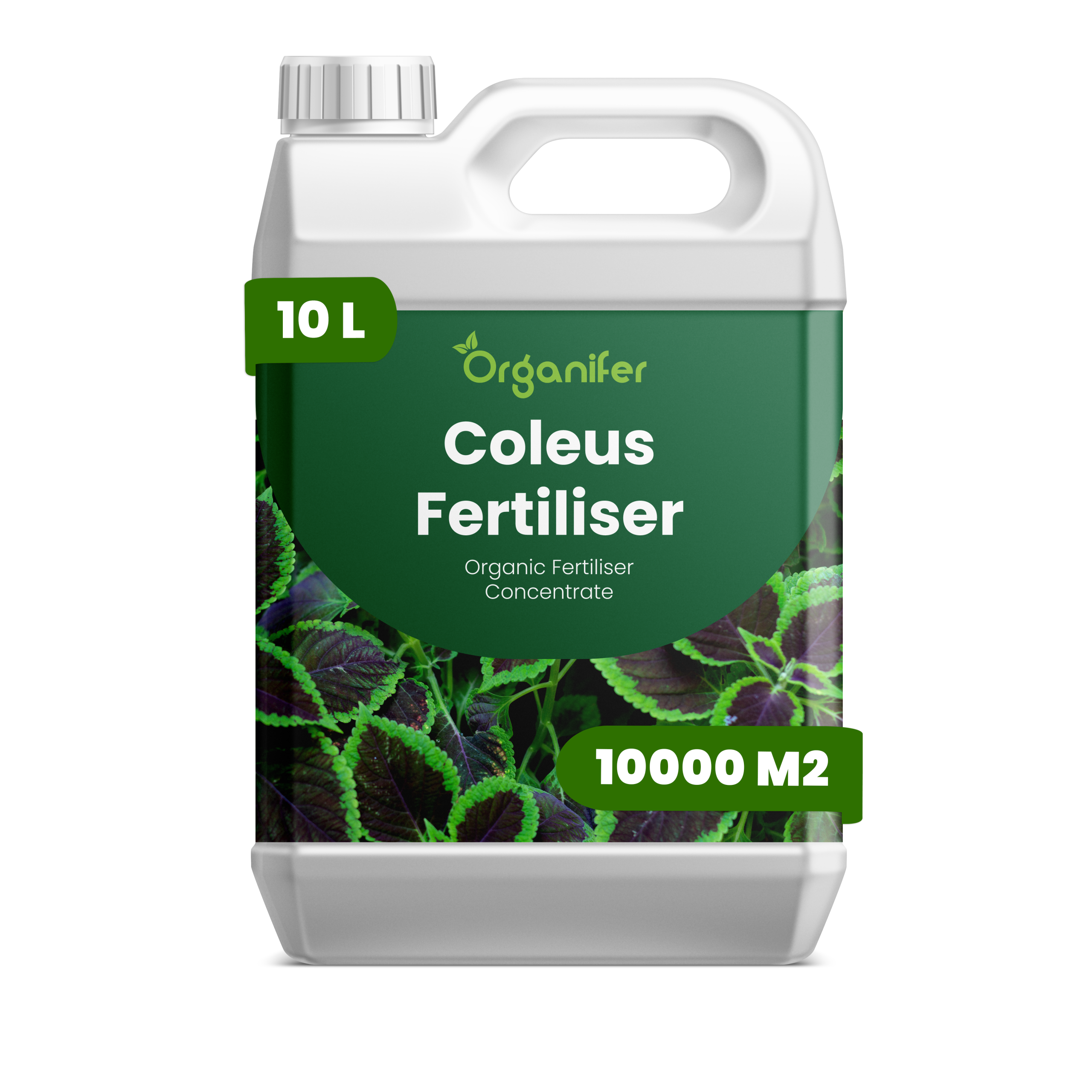 8719958000926 10L Coleus labels
