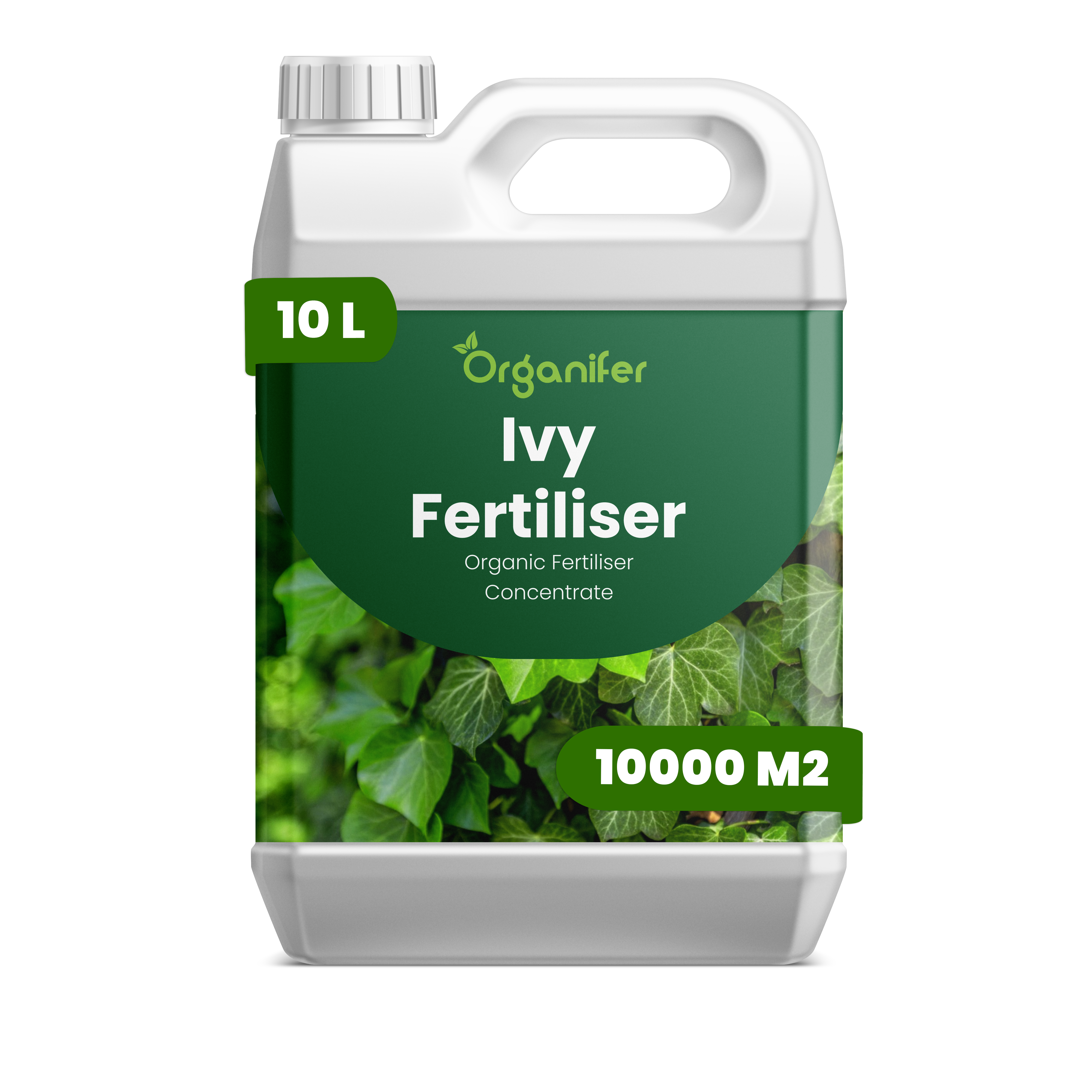 organifer liquid fertiliser Ivy