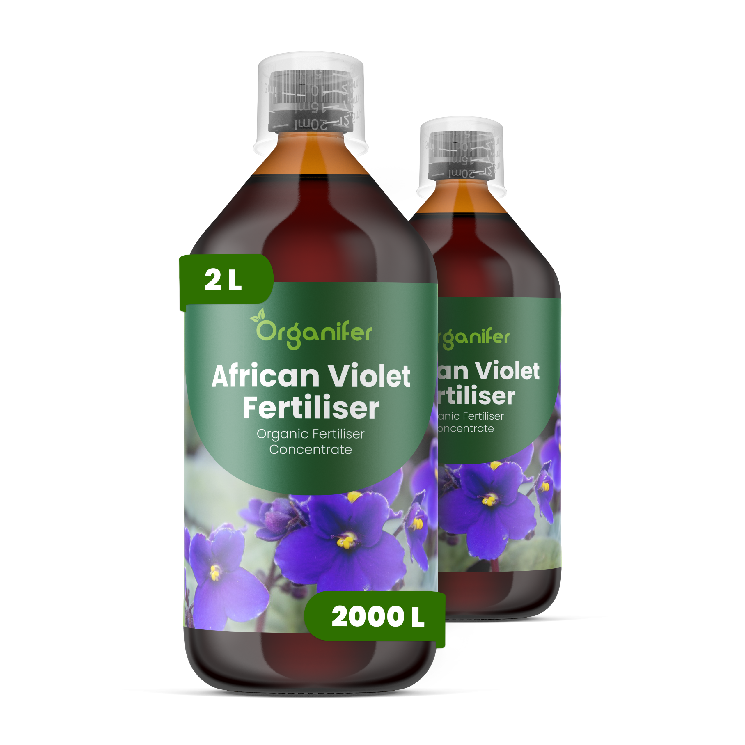 2L African Violet labels