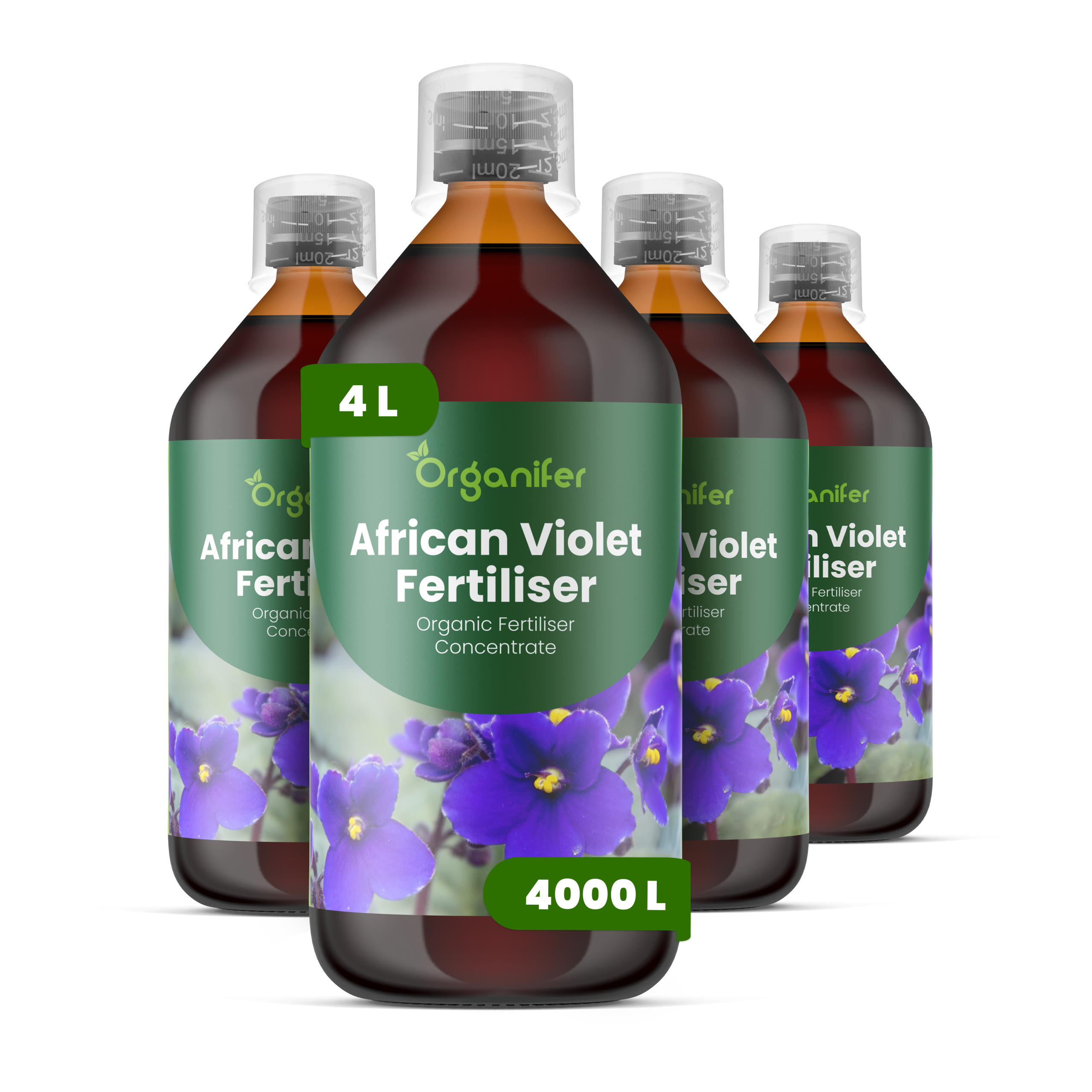 4L African Violet labels