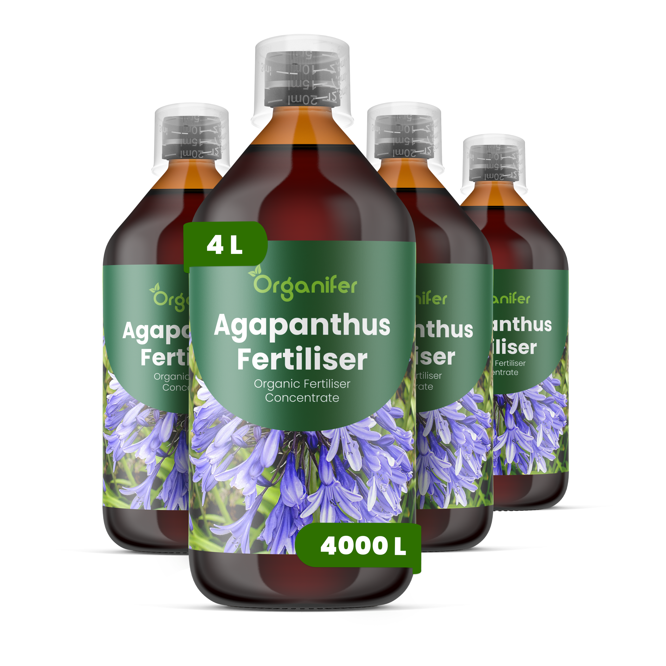 4L Agapanthus labels