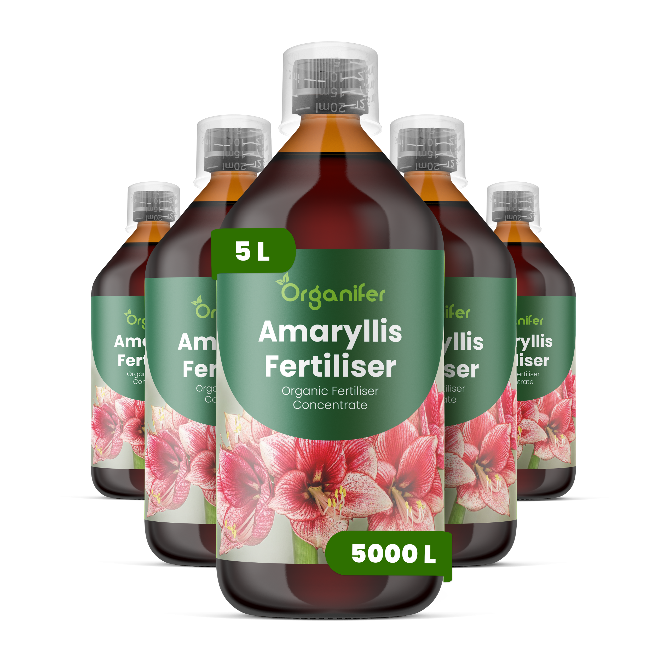 8719958003873 5L Amaryllis labels