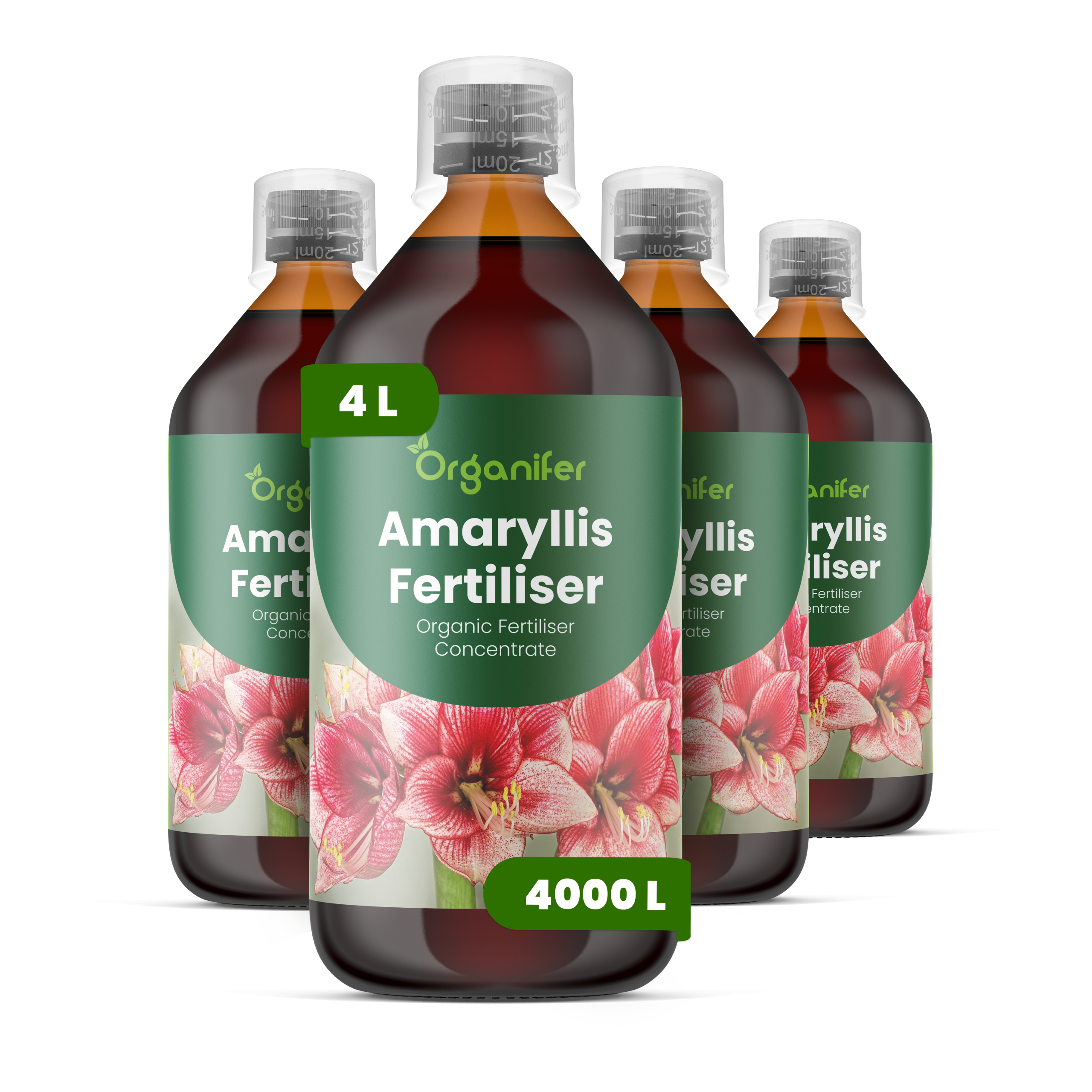 8719958003903 4L Amaryllis labels