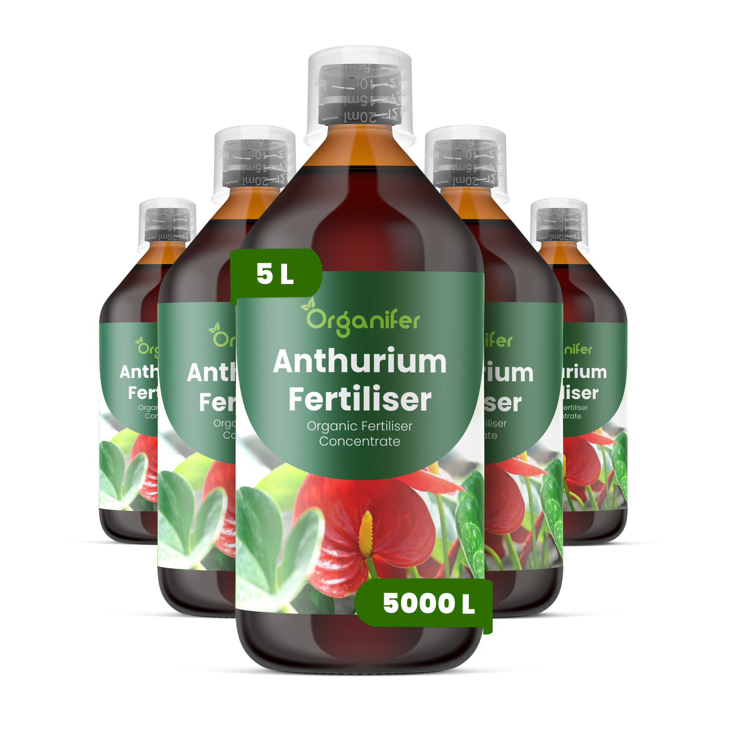 8719958003958 5L Anthurium labels
