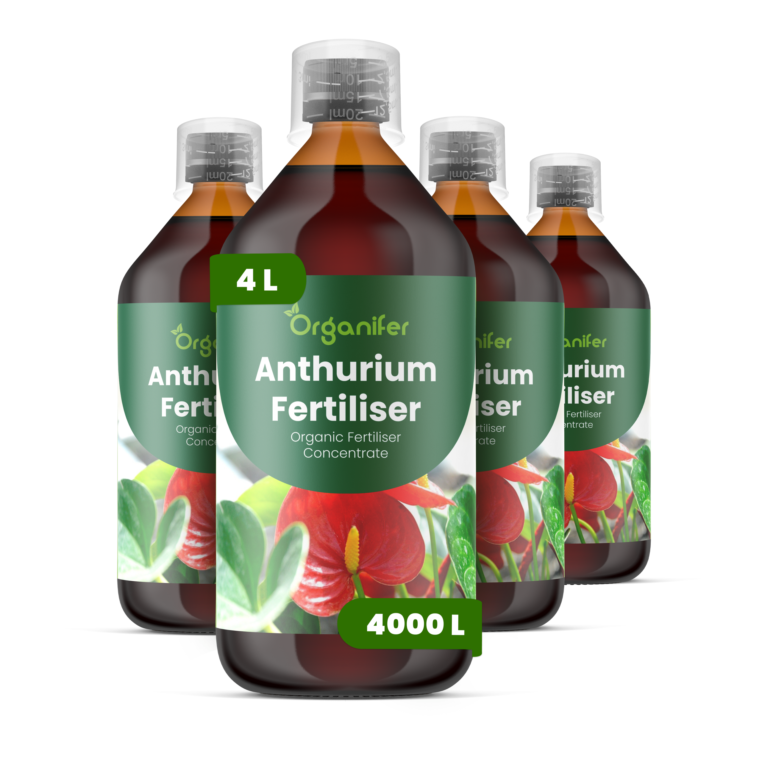 8719958003989 4L Anthurium labels