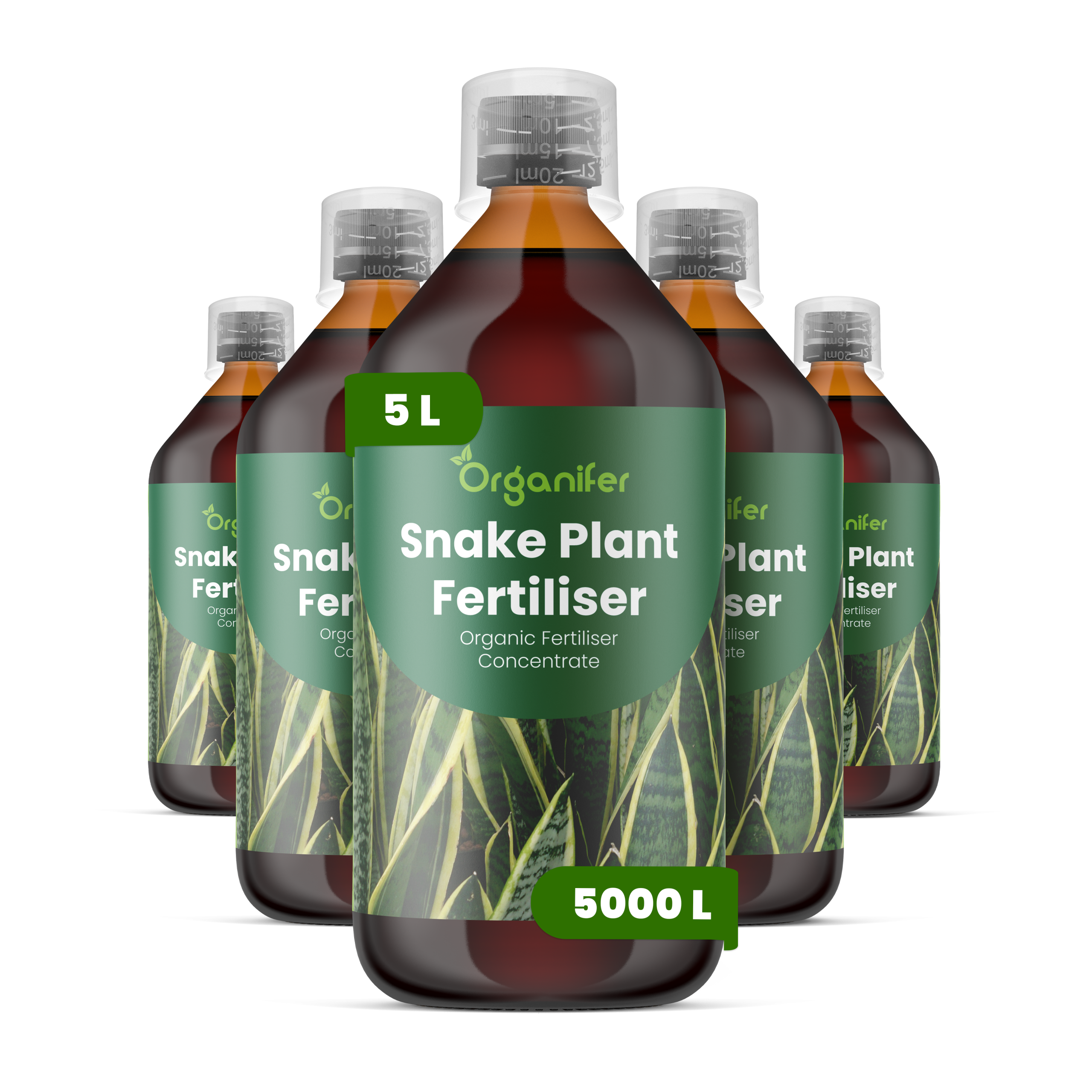 8719958004597 5L Snake Plant labels