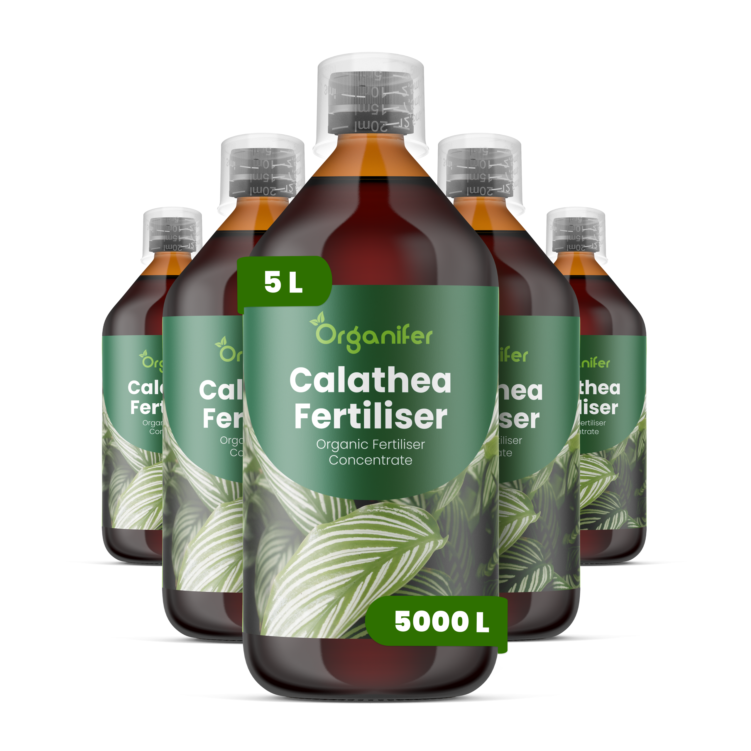 8719958004832 5L Calathea labels