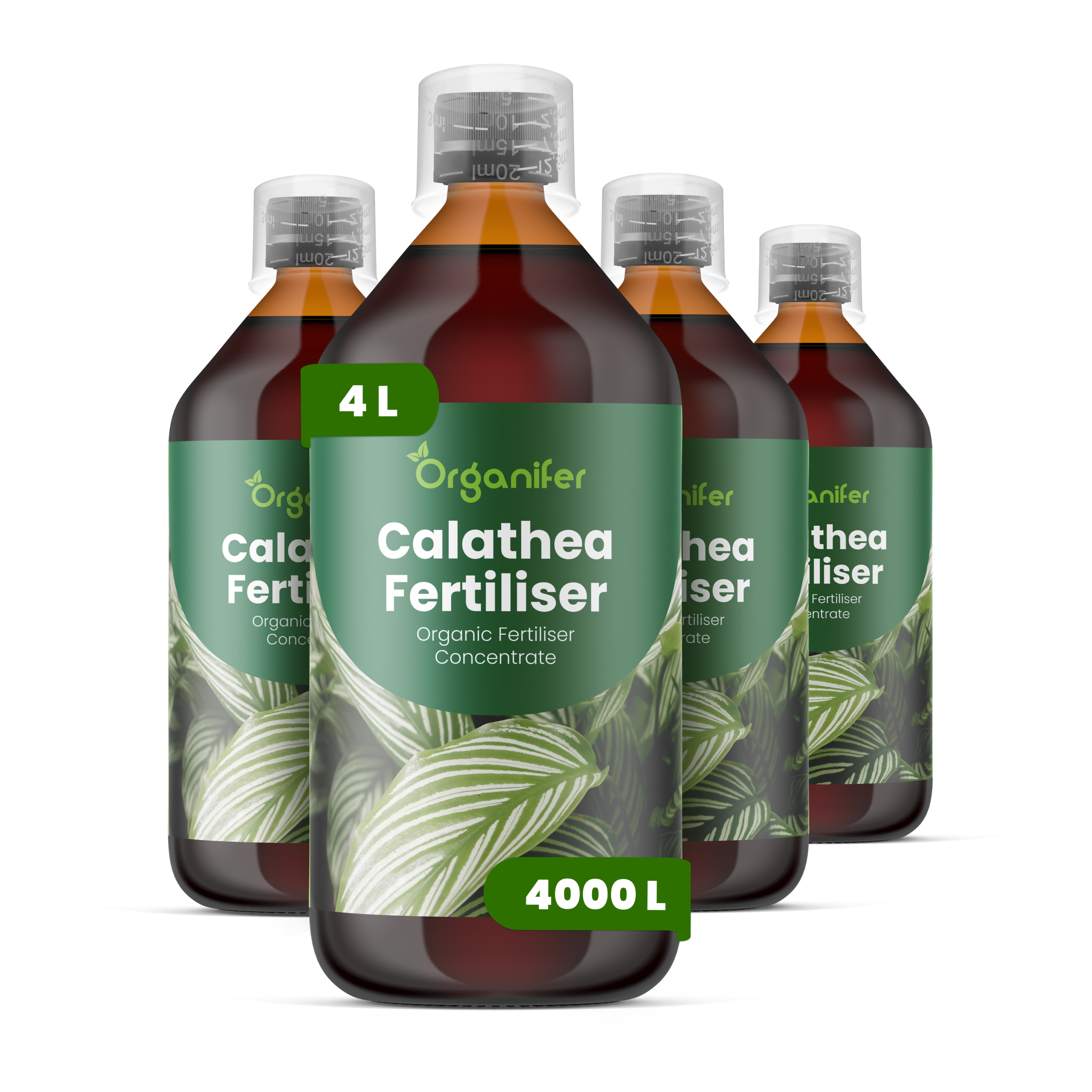 8719958004863 4L Calathea labels