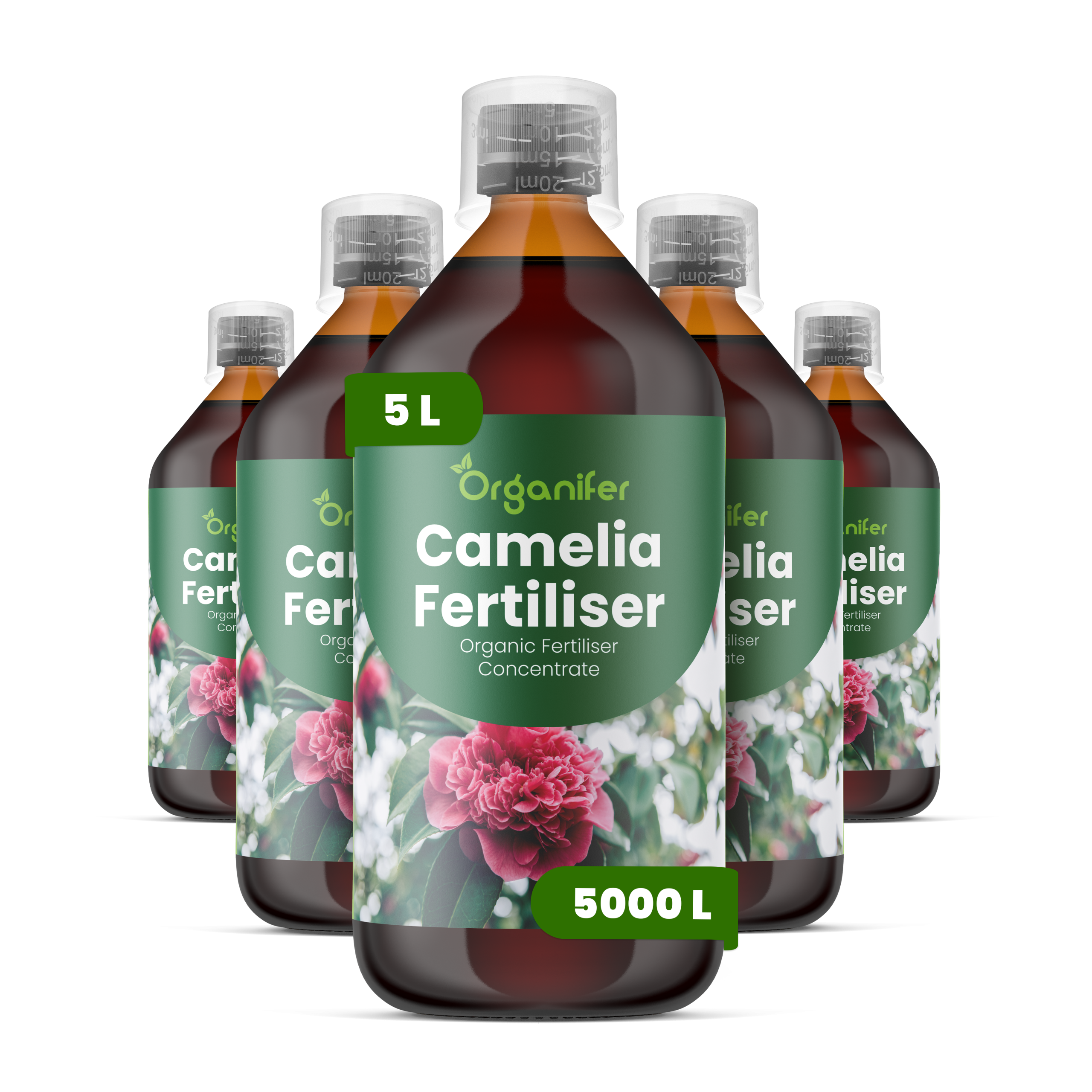 8719958004917 5L Camelia labels