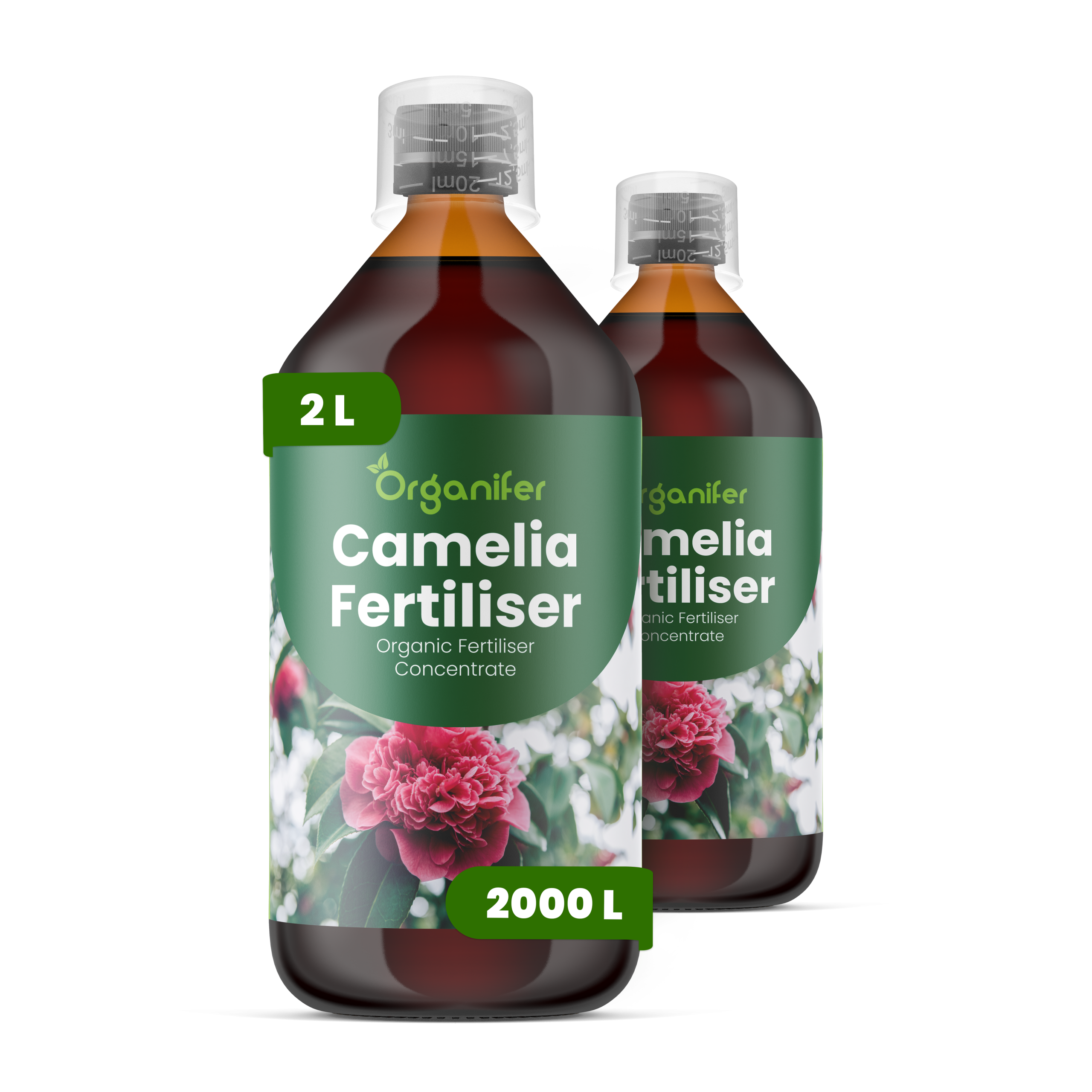 8719958004924 2L Camelia labels