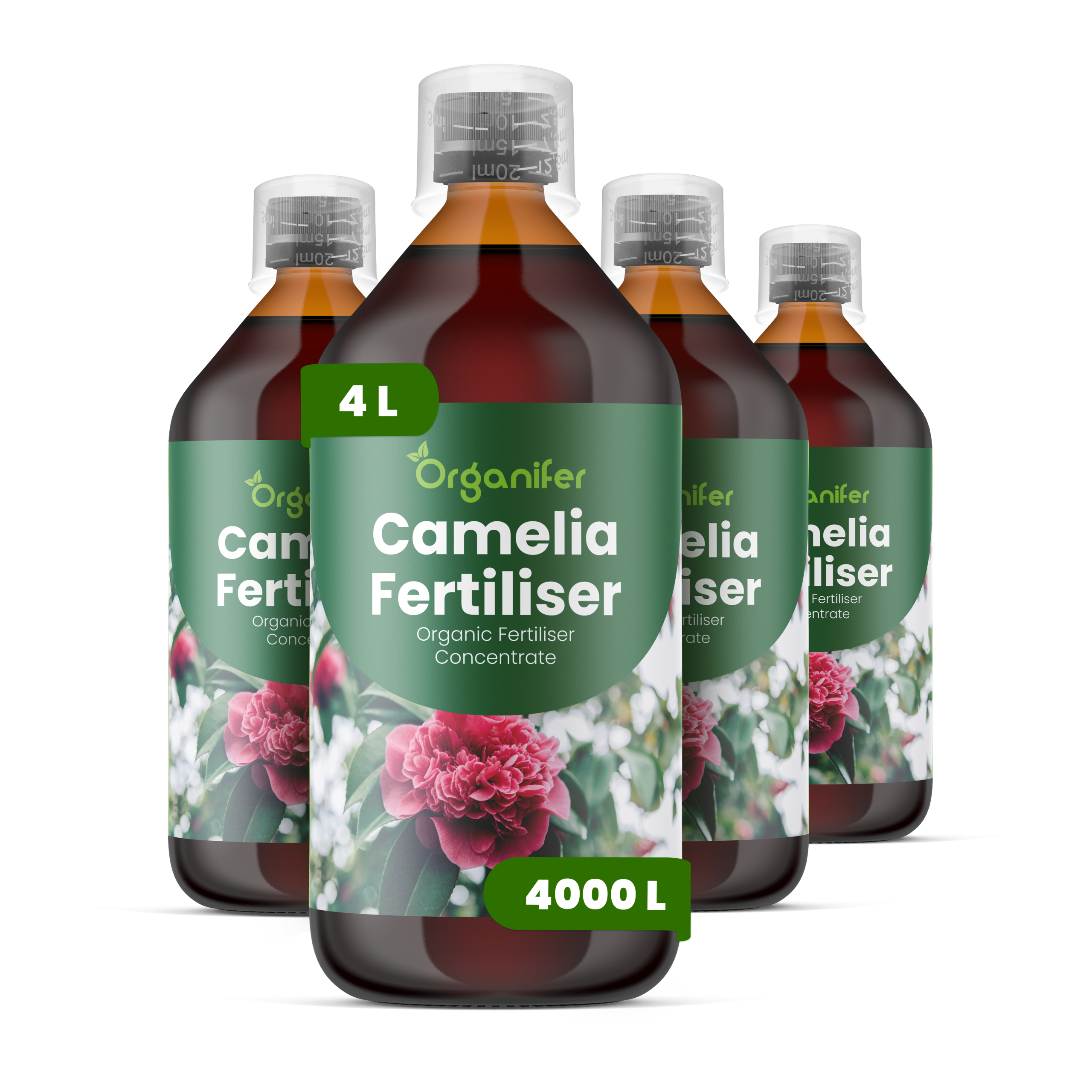 8719958004948 4L Camelia labels
