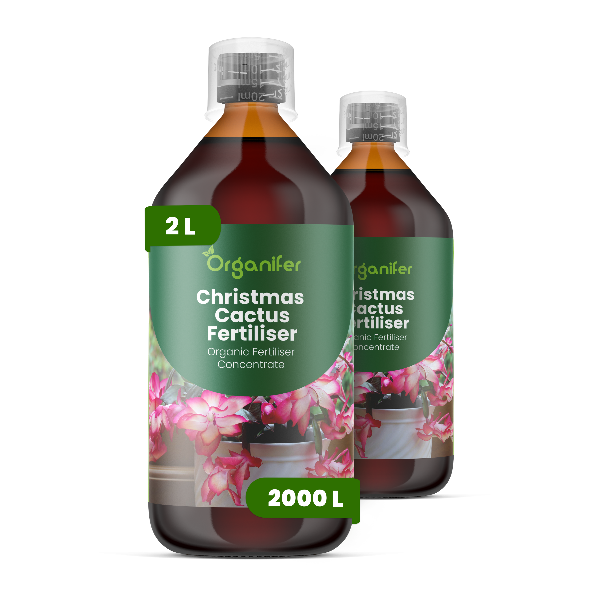 8719958005167 2L Christmas Cactus labels