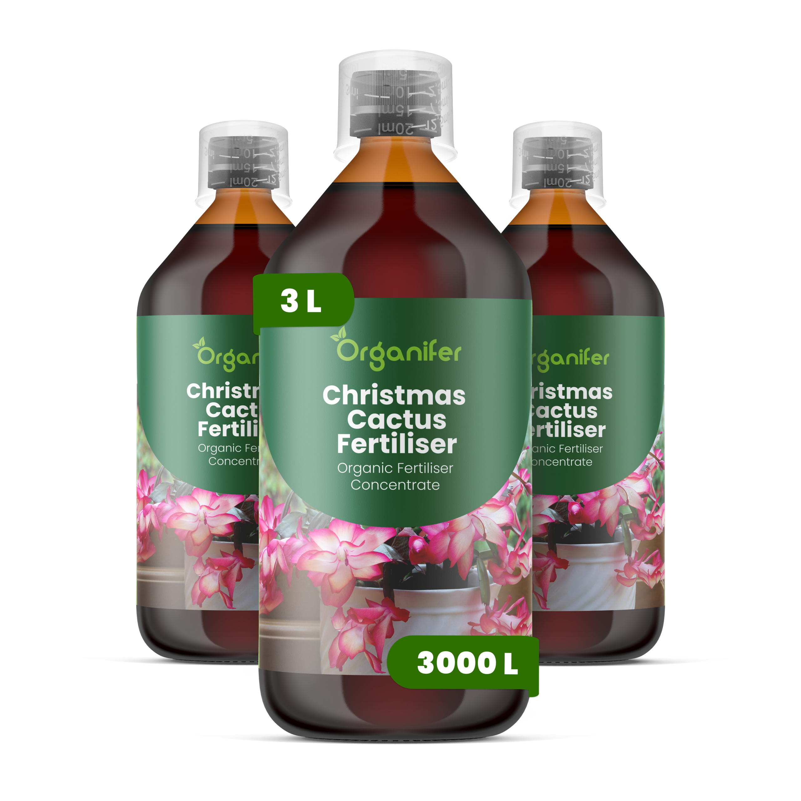 8719958005174 3L Christmas Cactus labels