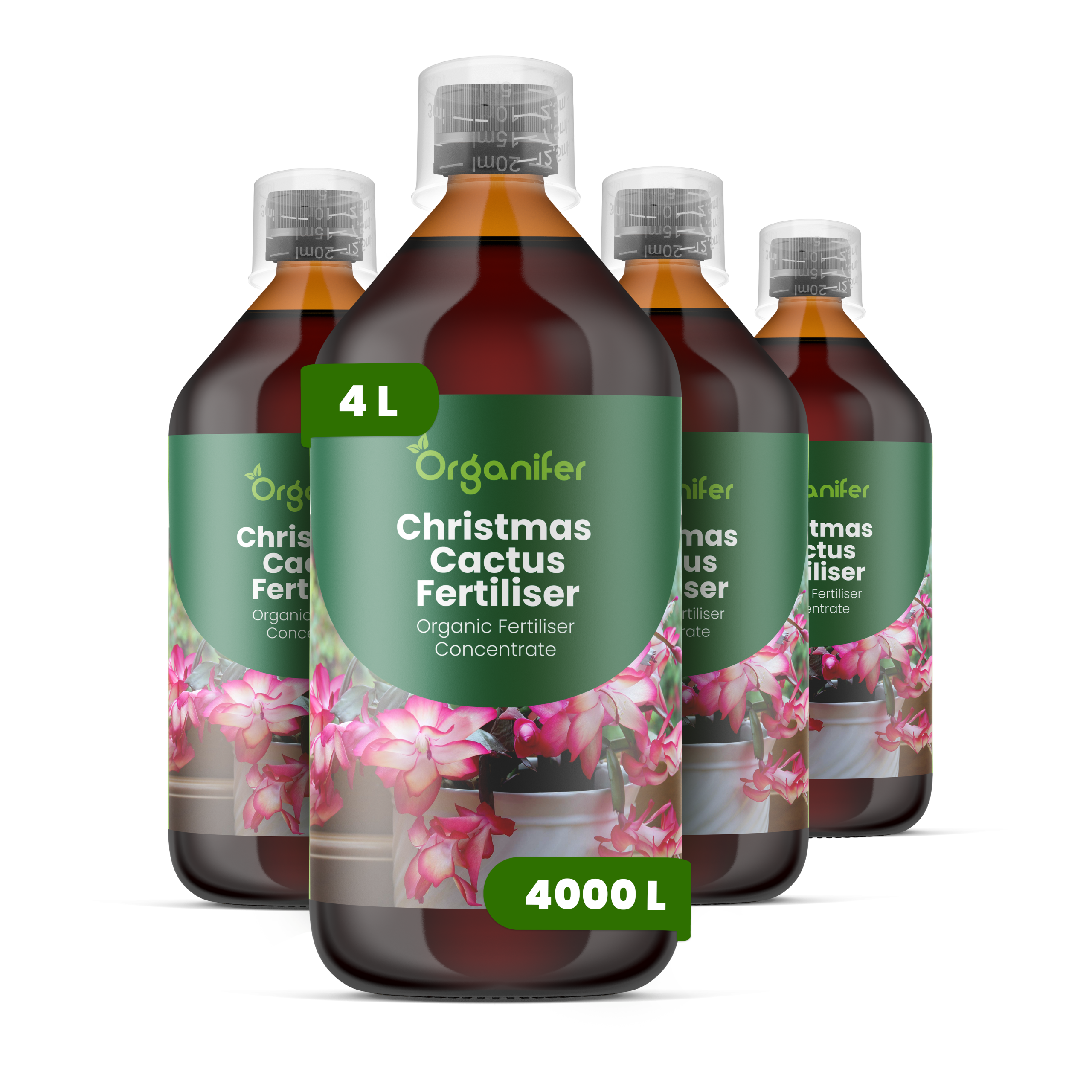 8719958005181 4L Christmas Cactus labels
