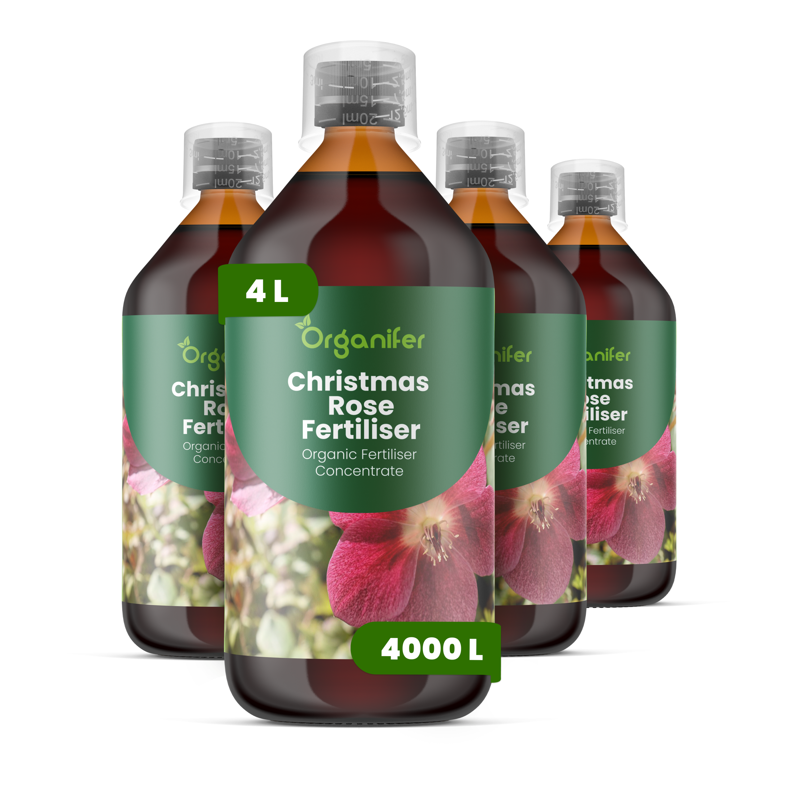 8719958005228 Christmas Rose 4L labels