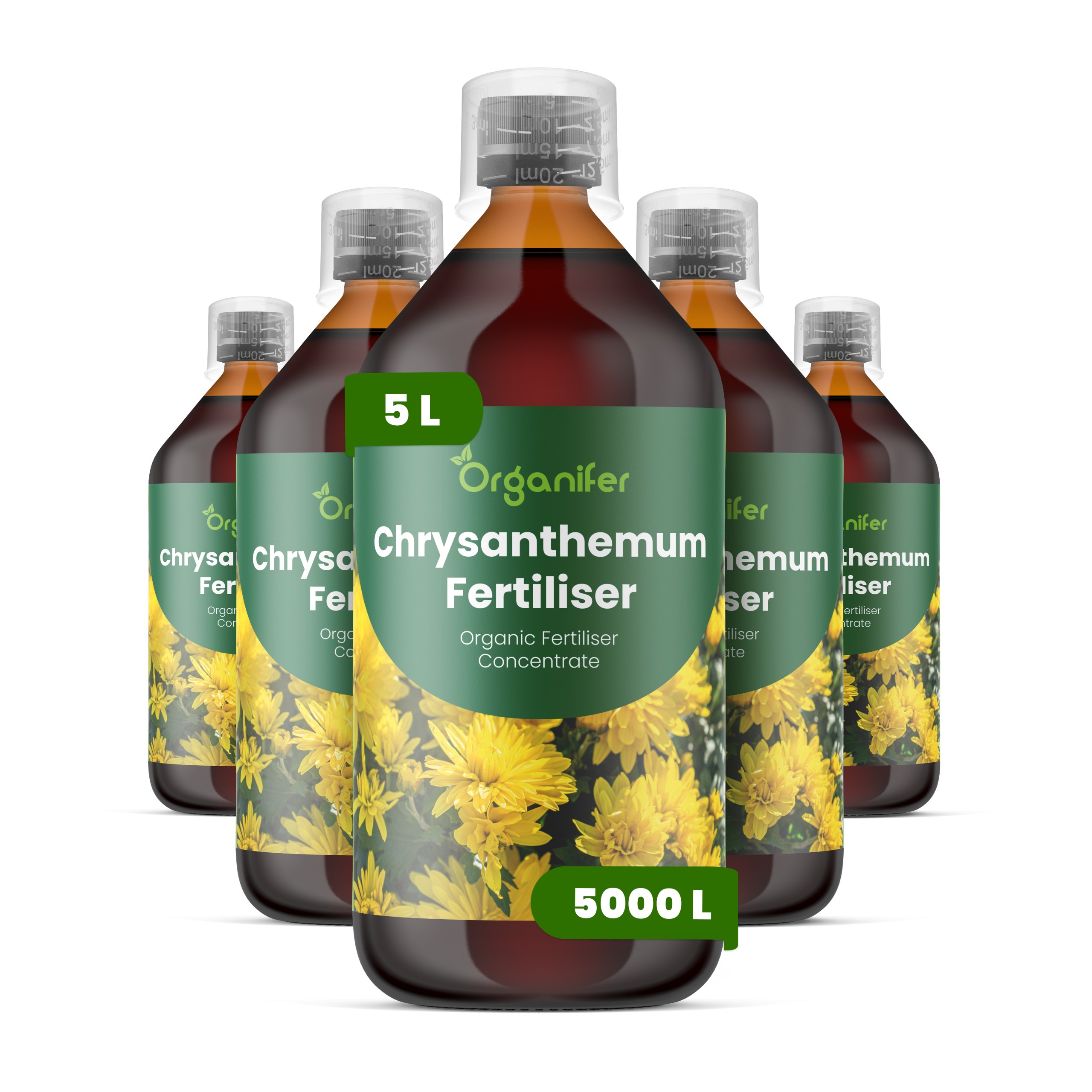 8719958005235 5L Chrysanthemum labels