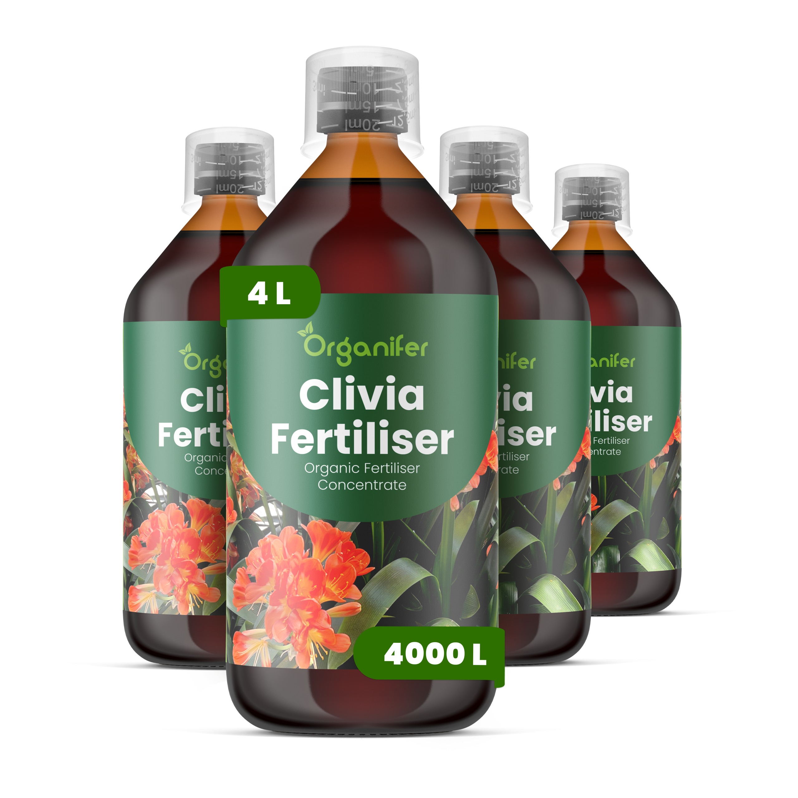 8719958005389 4L Clivia labels