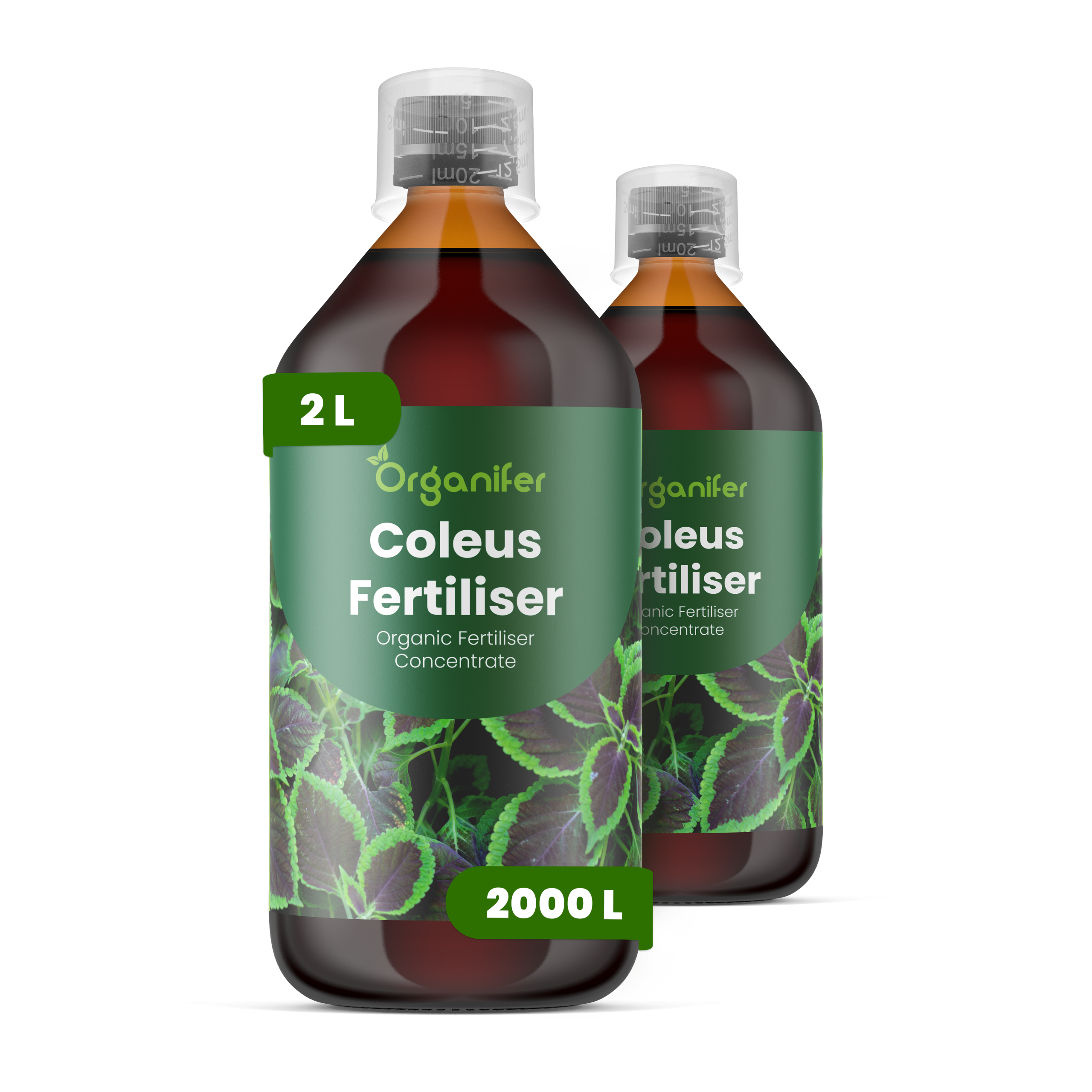 8719958005440 2L Coleus labels
