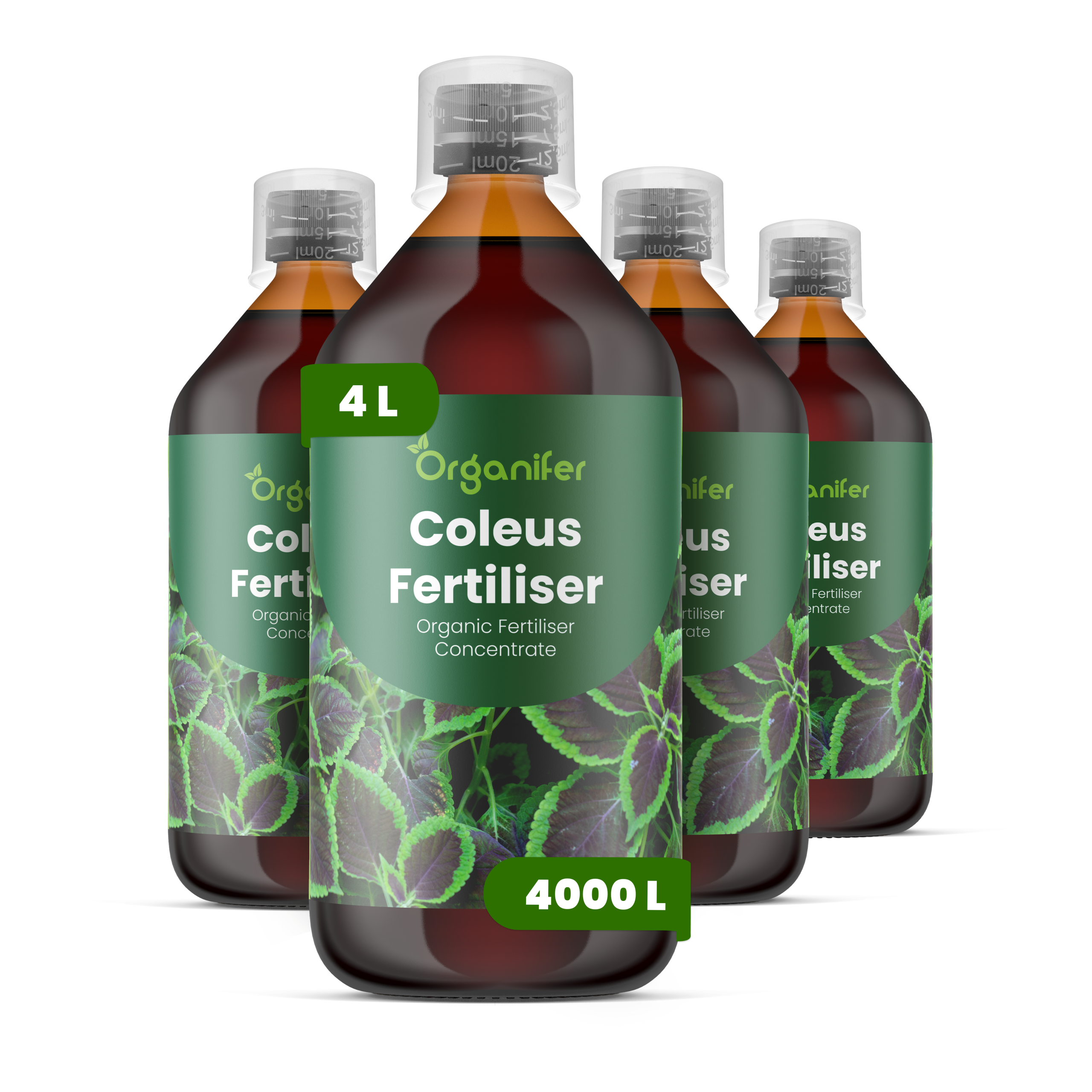 8719958005464 4L Coleus labels