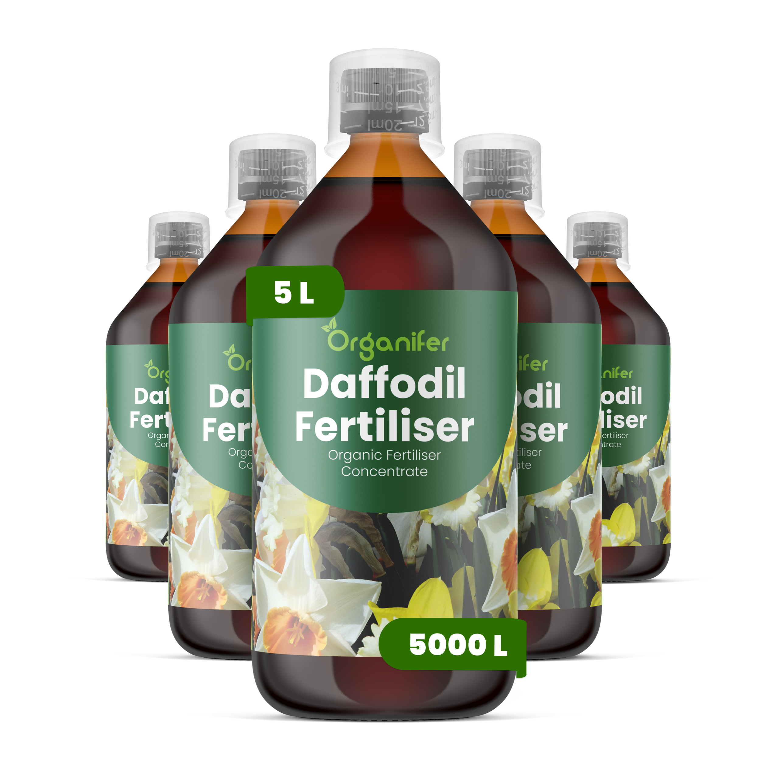 8719958005594 5L Daffodil labels