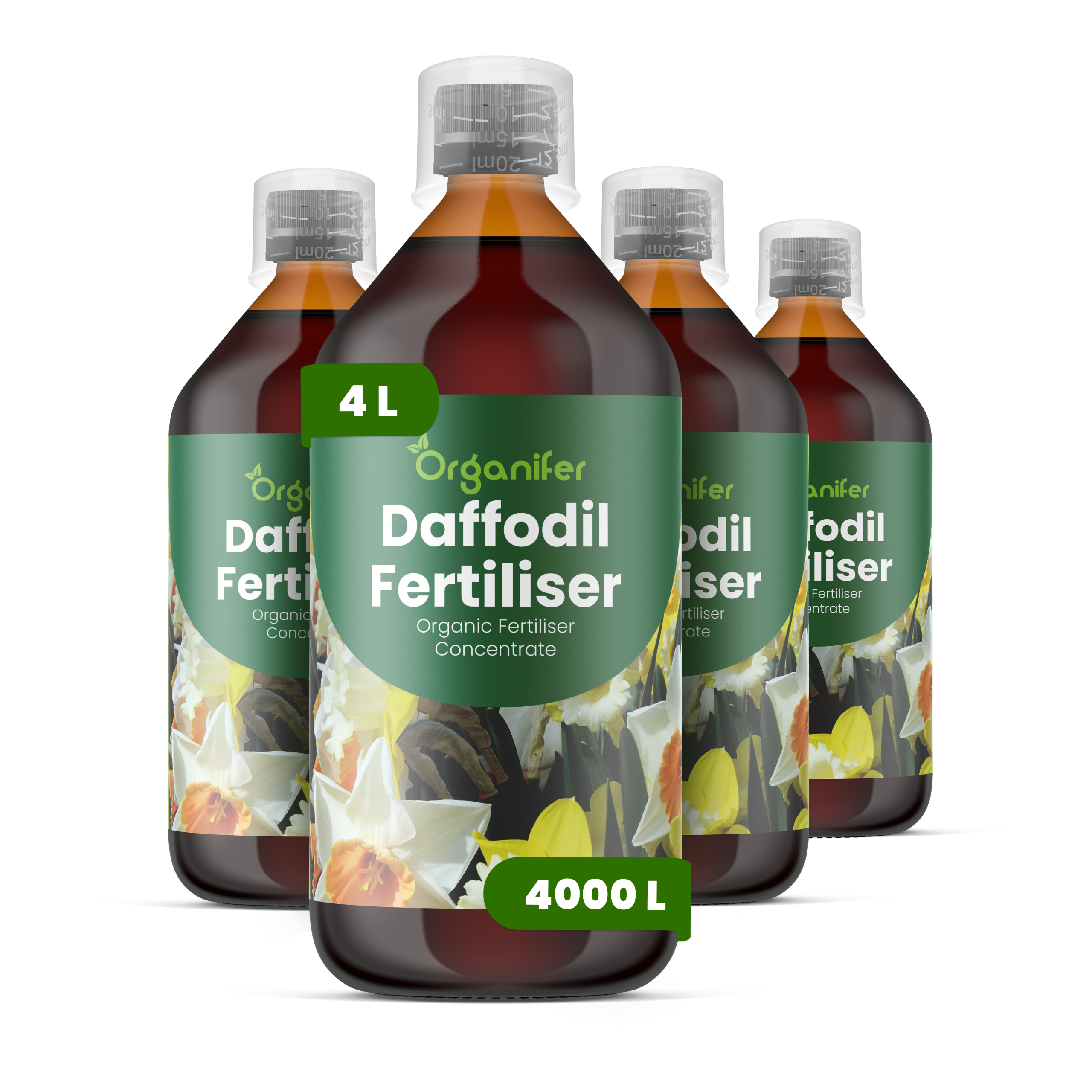 8719958005624 4L Daffodil label
