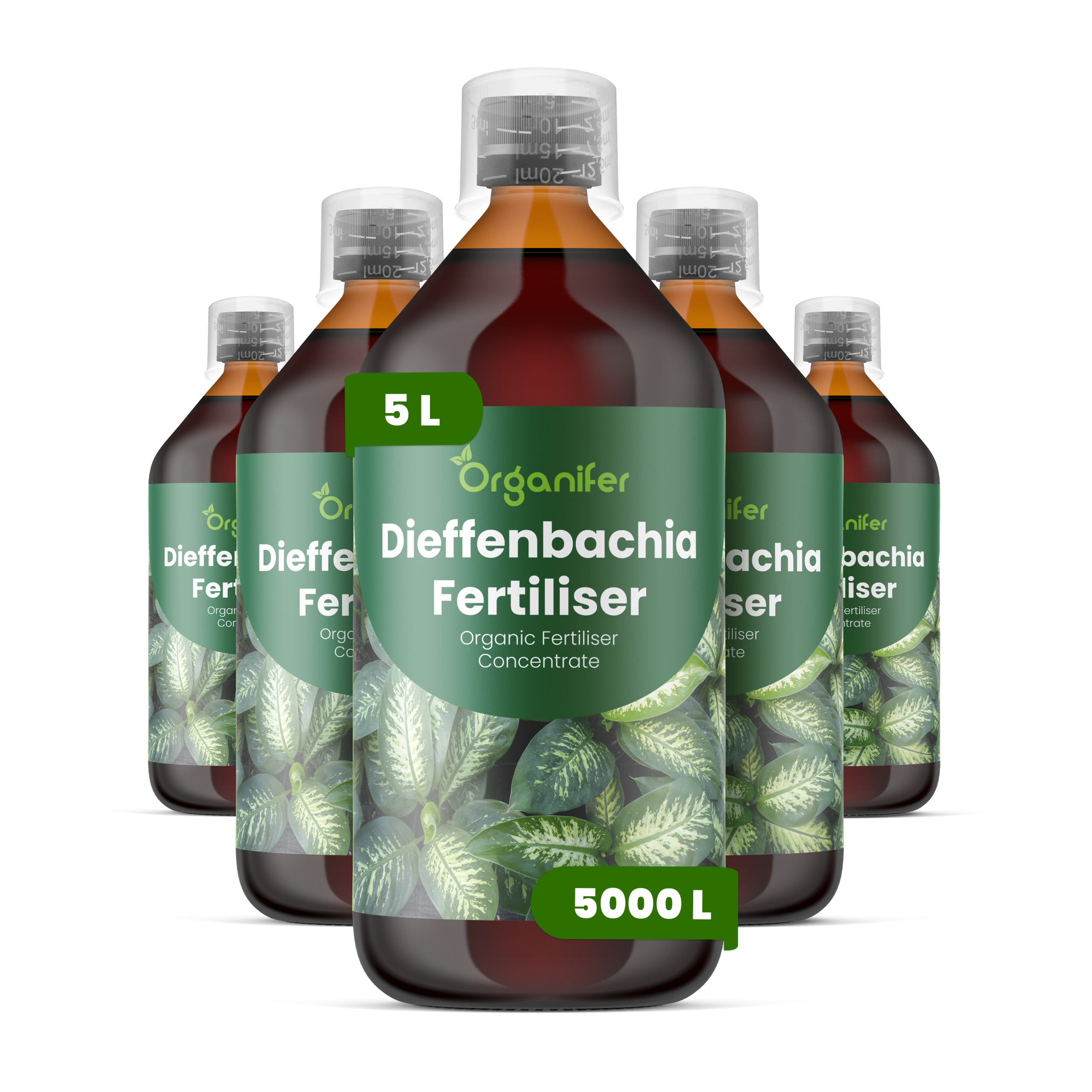 8719958005754 Dieffenbachia 5L labels