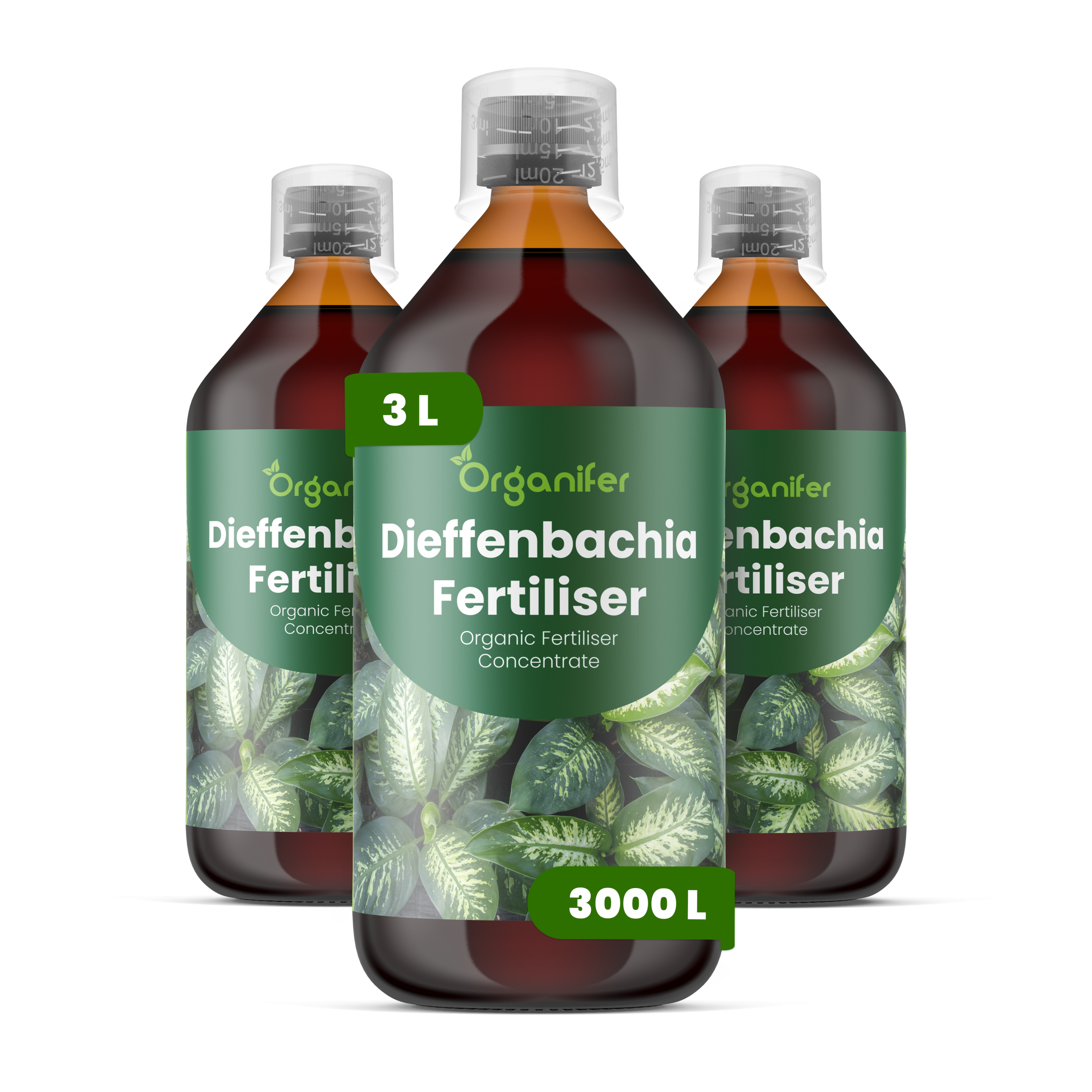 8719958005778 Dieffenbachia 3L labels