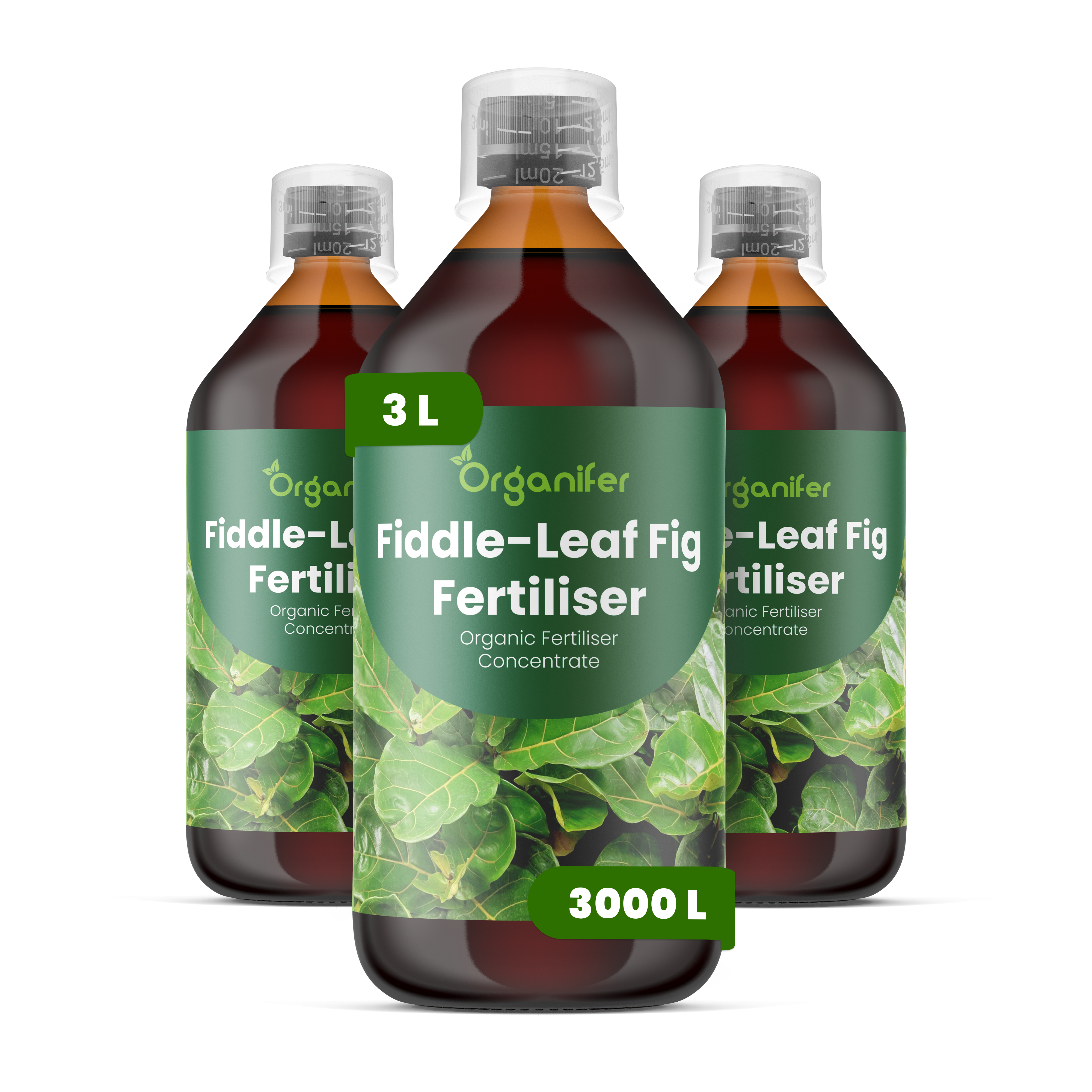 Течен тор за фикус с листа като цигулка – 3x1 литър