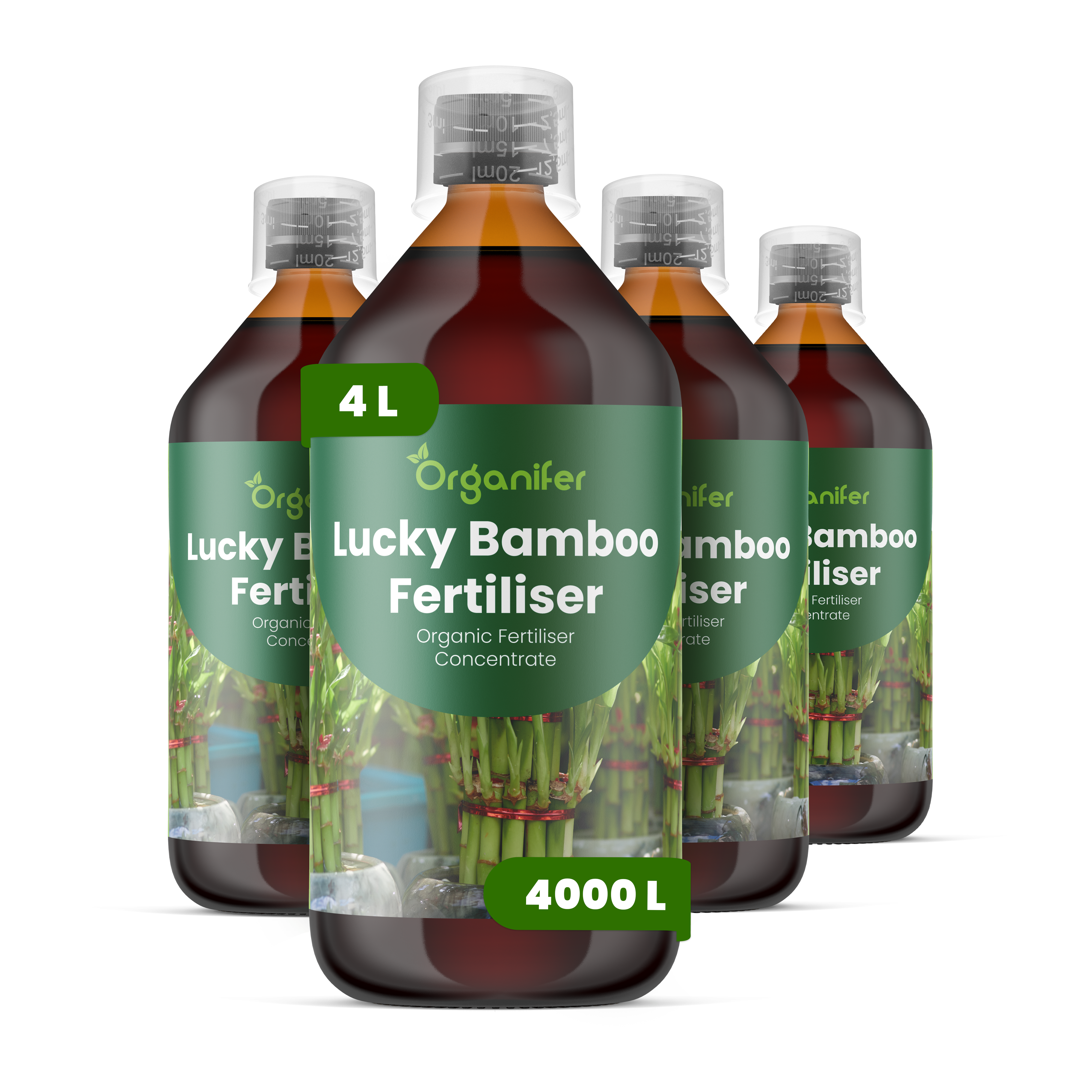 lucky bamboo spray Lucky Bamboo Liquid Fertiliser