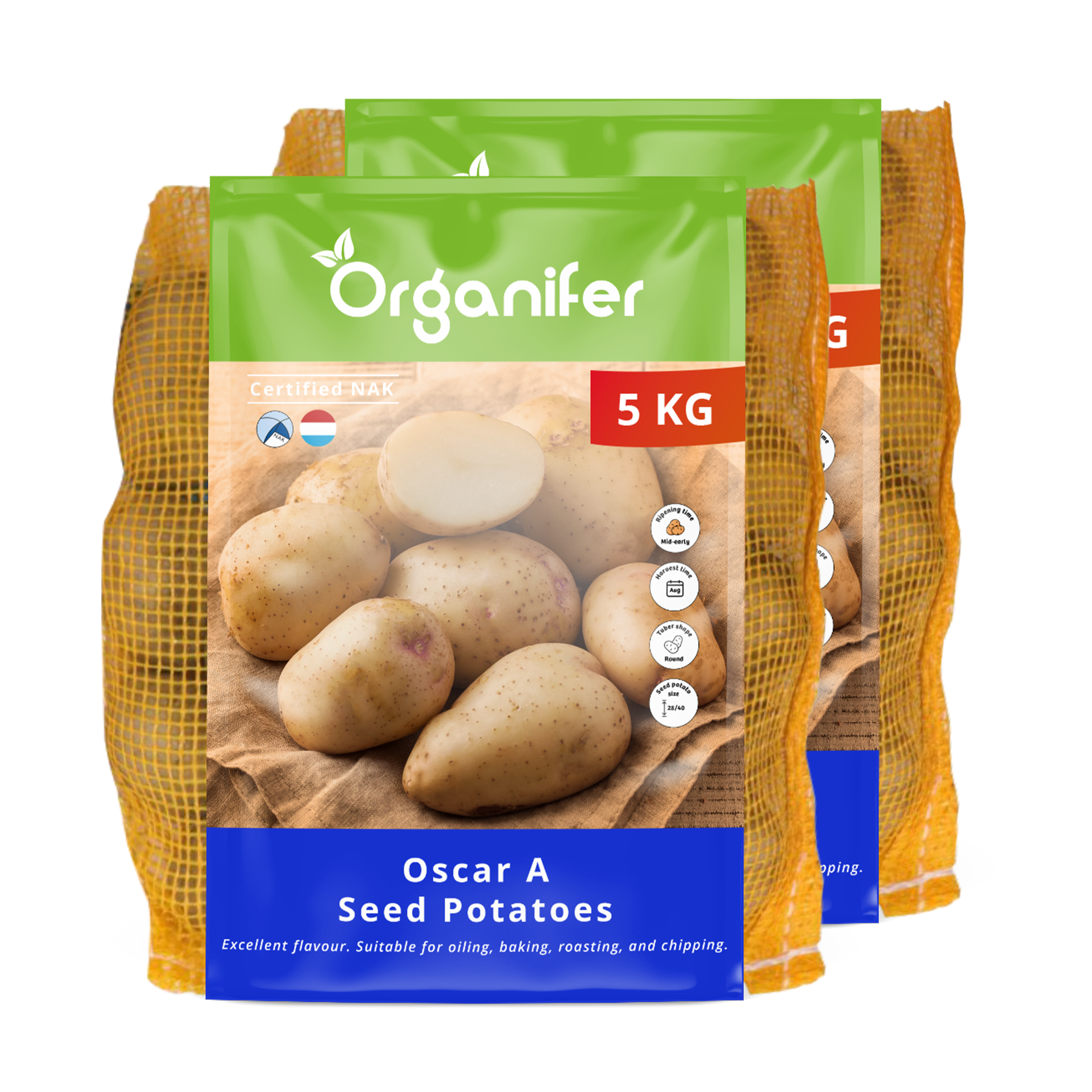 8719958012271 10kg Oscar A